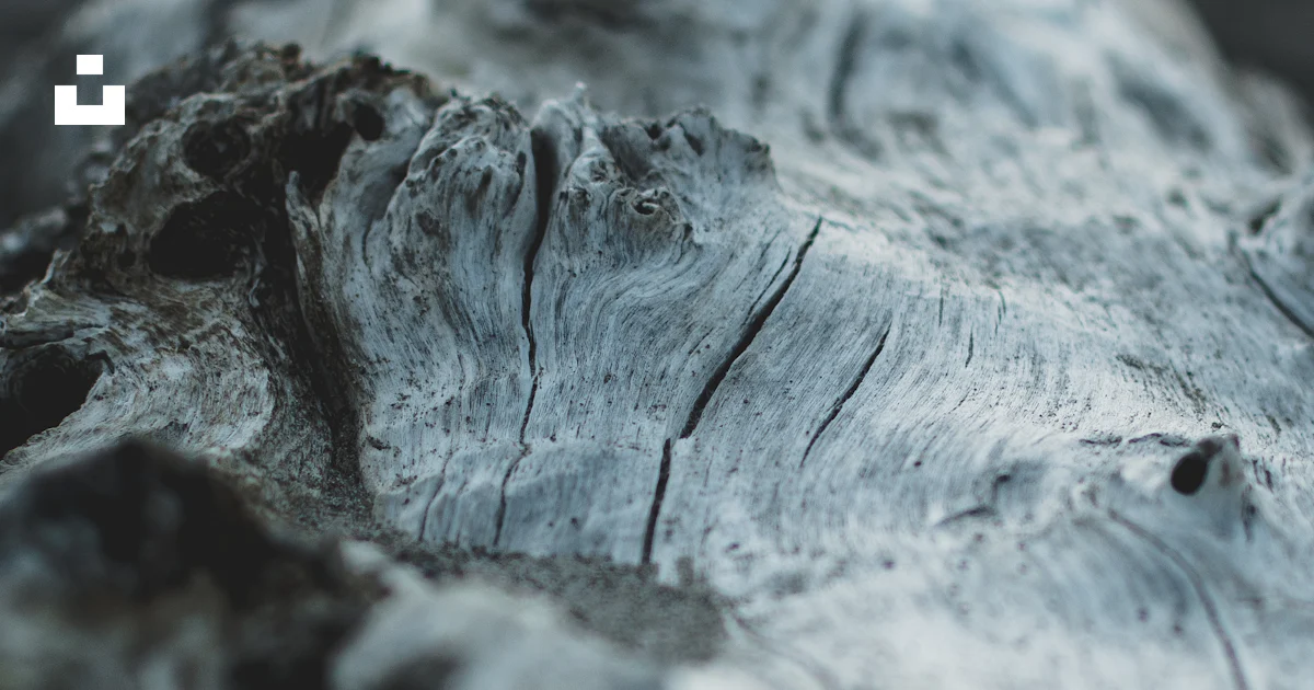 Gray log photo – Free Grey Image on Unsplash