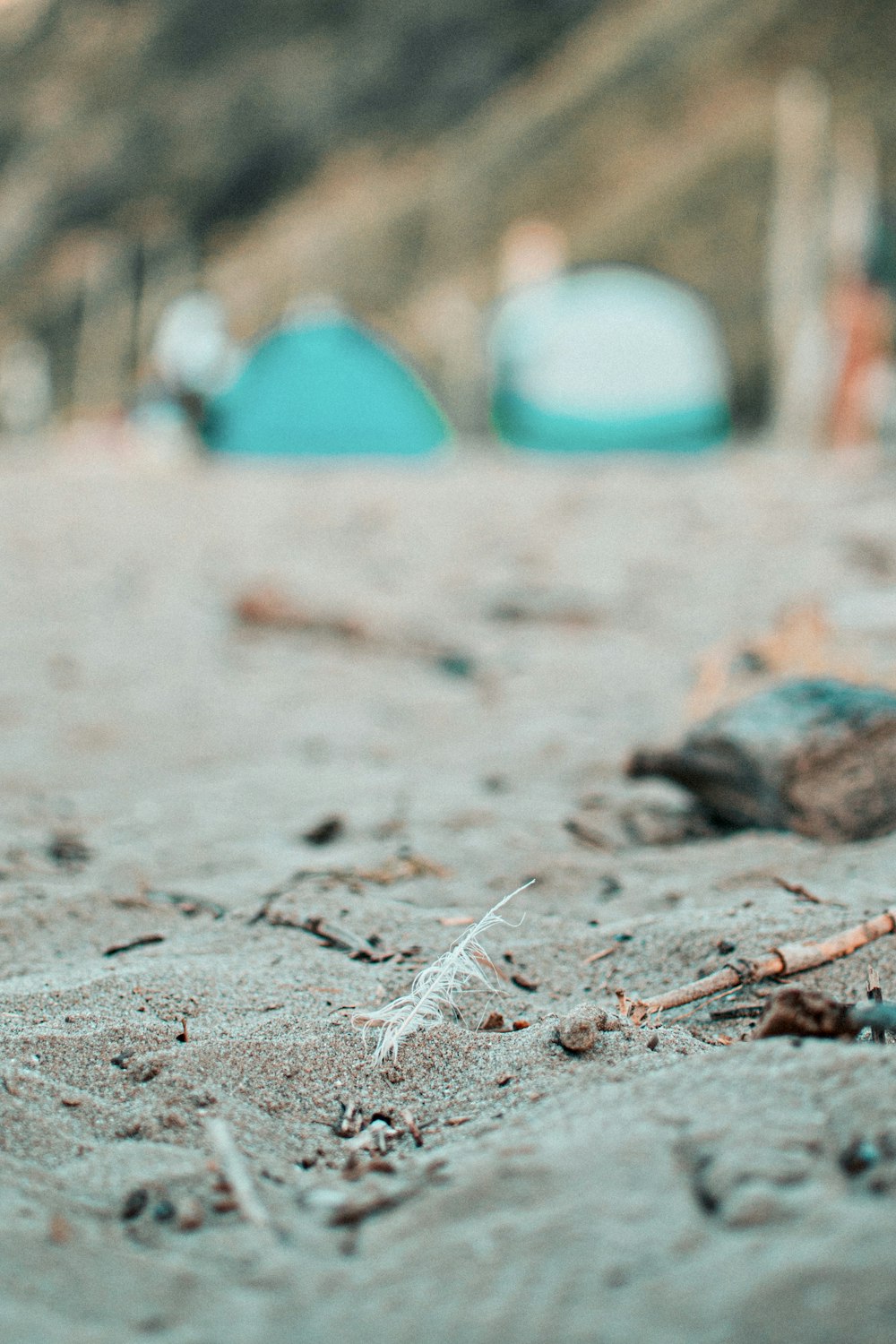 a blurry photo of a bird on the beach