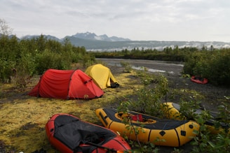 two red and yellow tents on grass