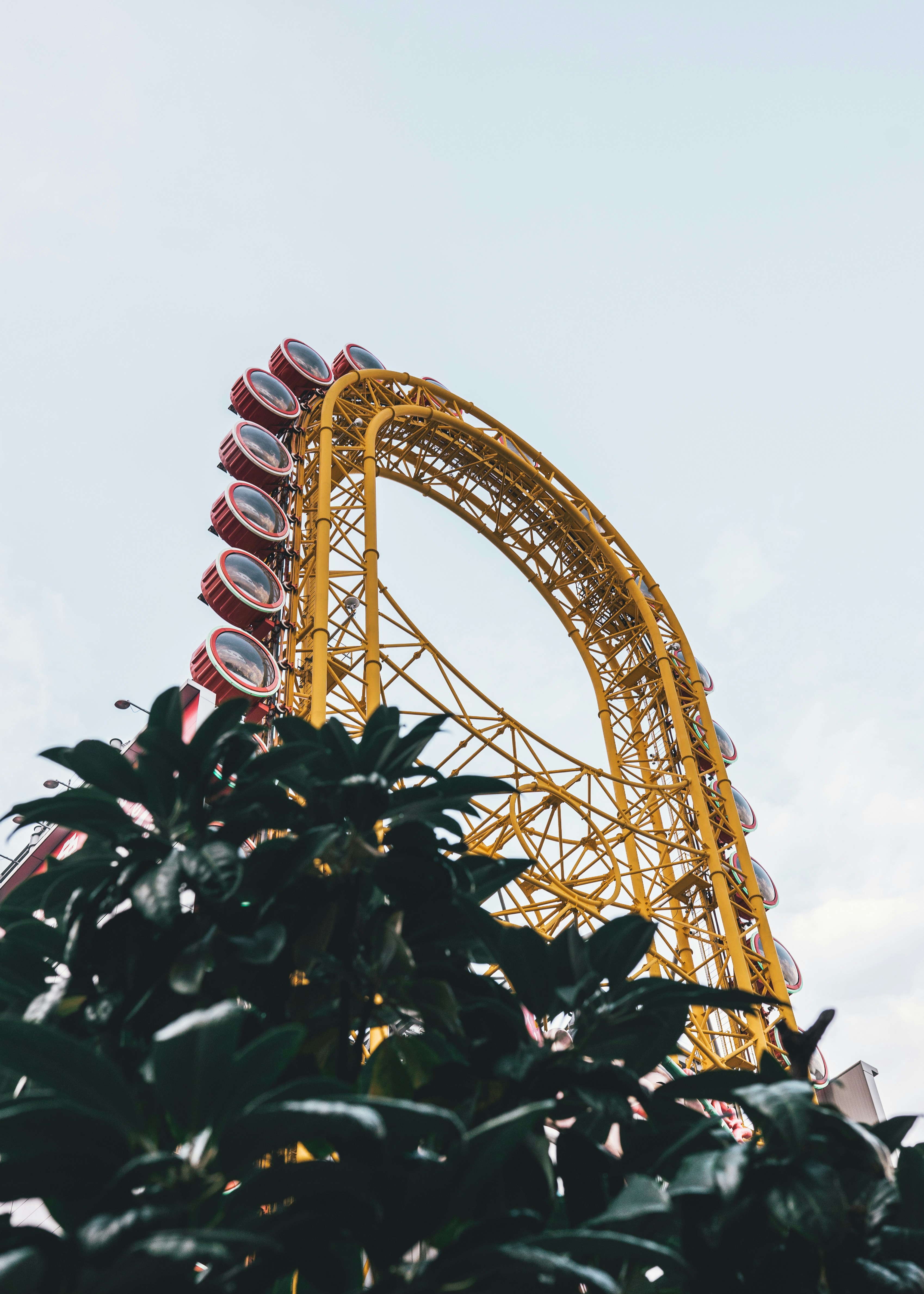 Photo by guilllaumeg