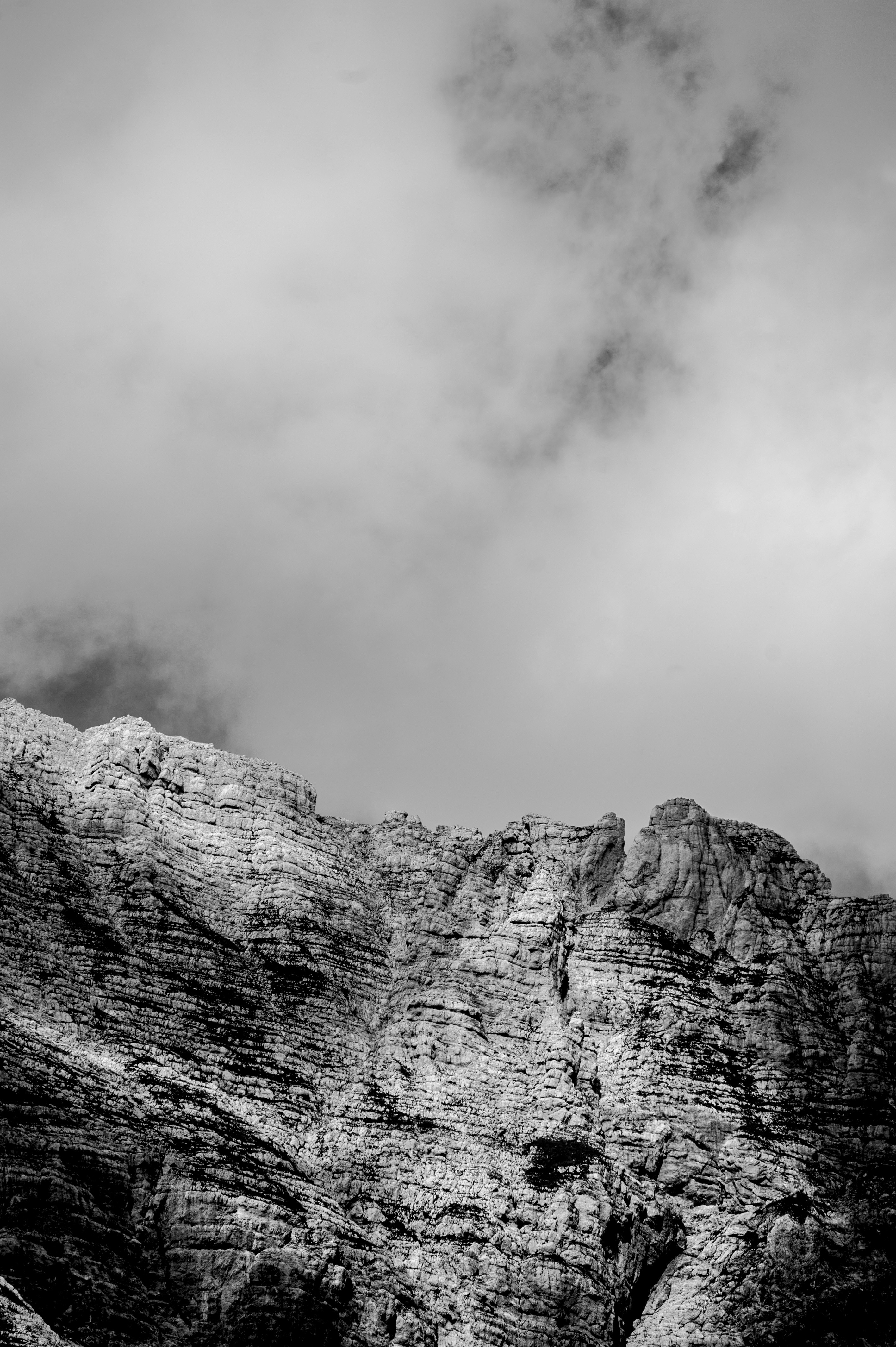 Photo by gopitri_prem