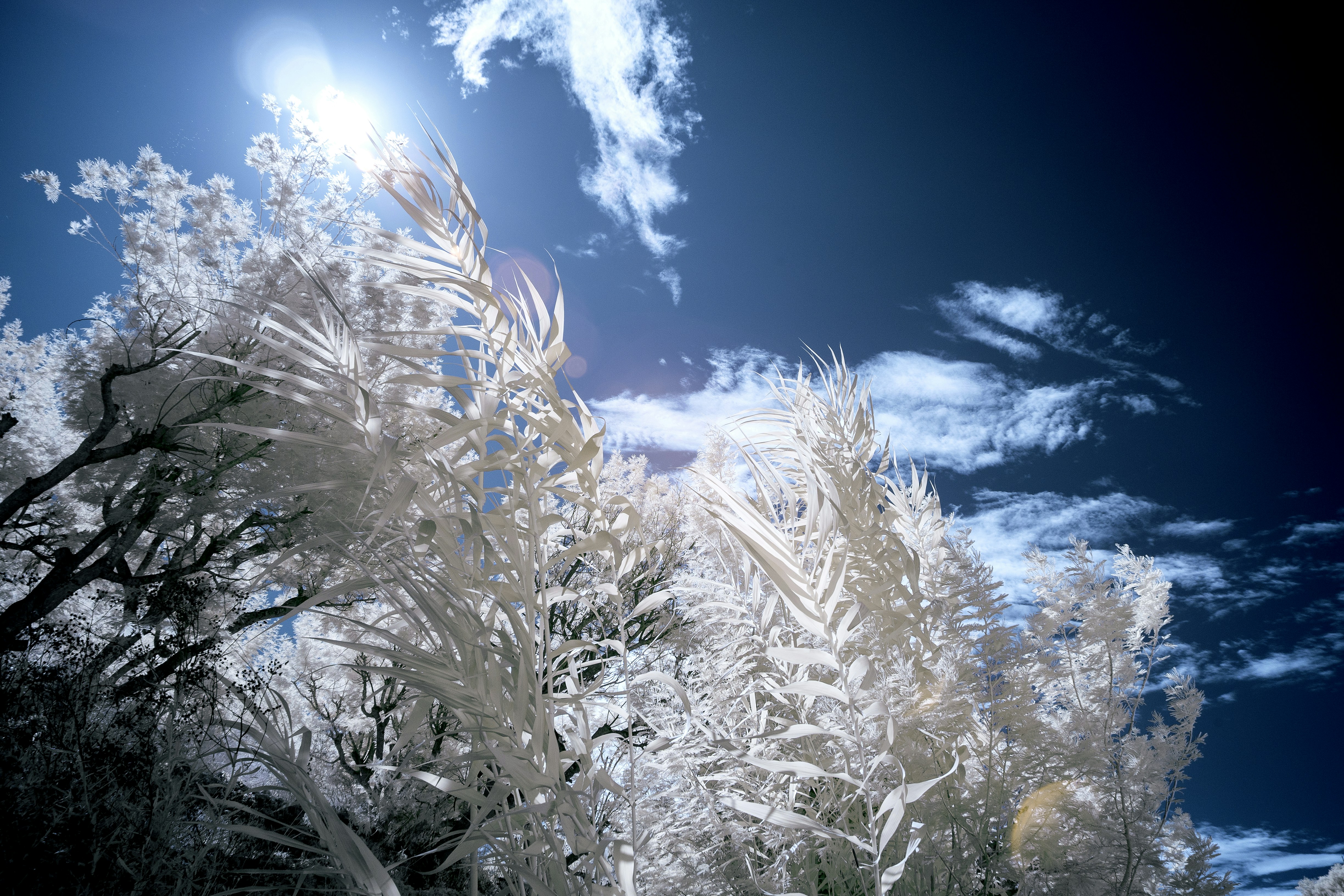 Photo by mickdepaola