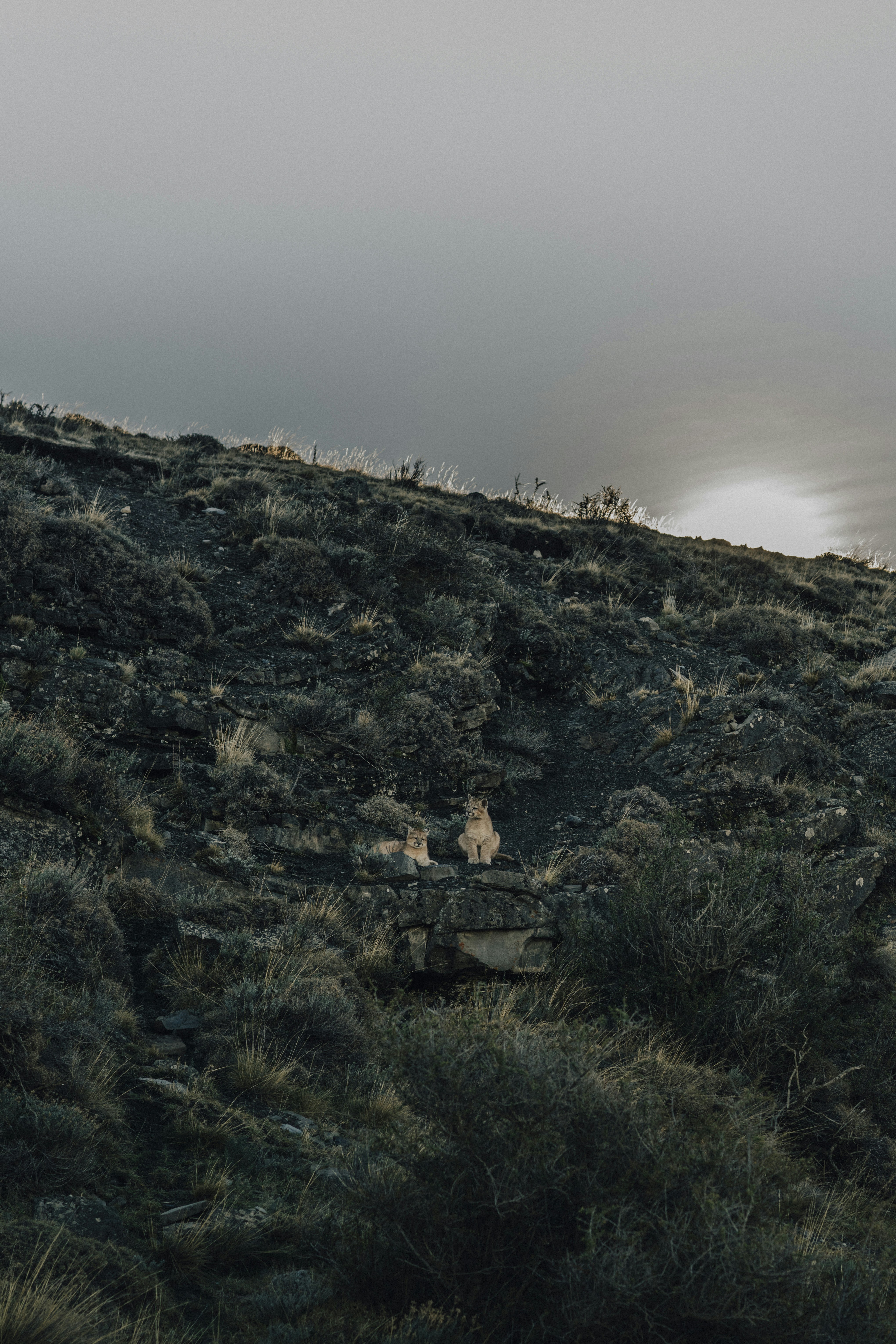 Photo by randominstitute