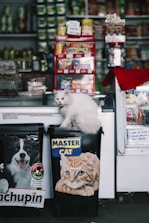 a cat sitting on top of a trash can in a store