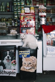a cat sitting on top of a trash can in a store