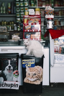produtos para pet shop