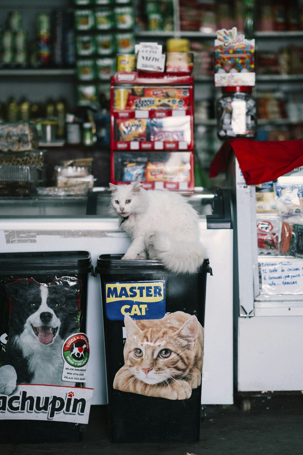 a cat sitting on top of a trash can in a store