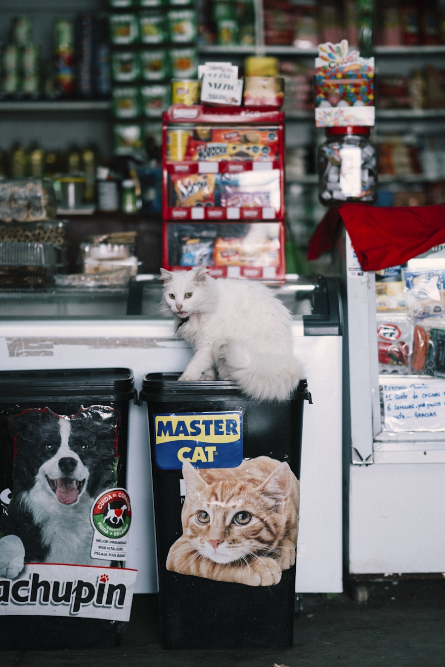 Shop shelves