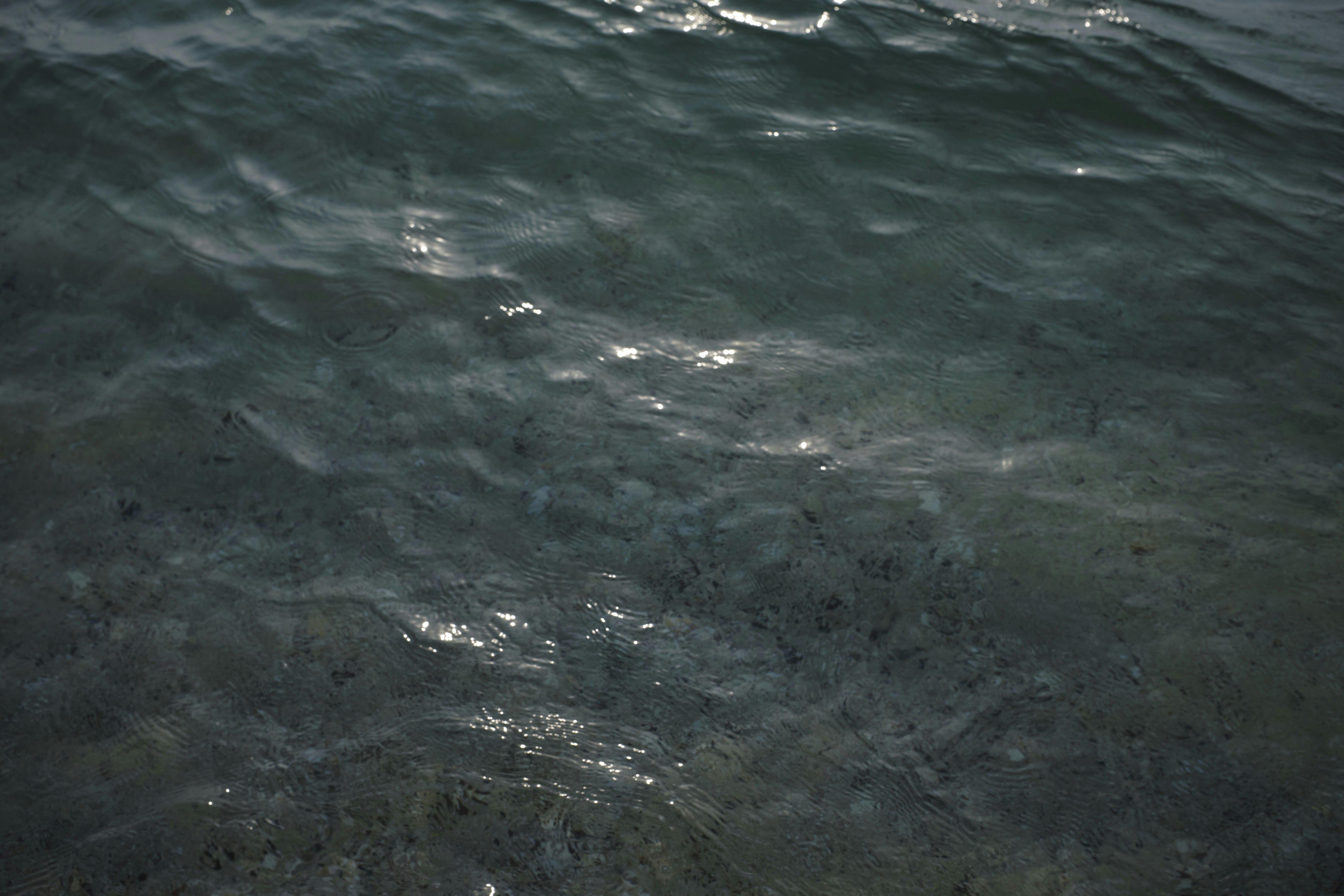 Photo by _felinafelina