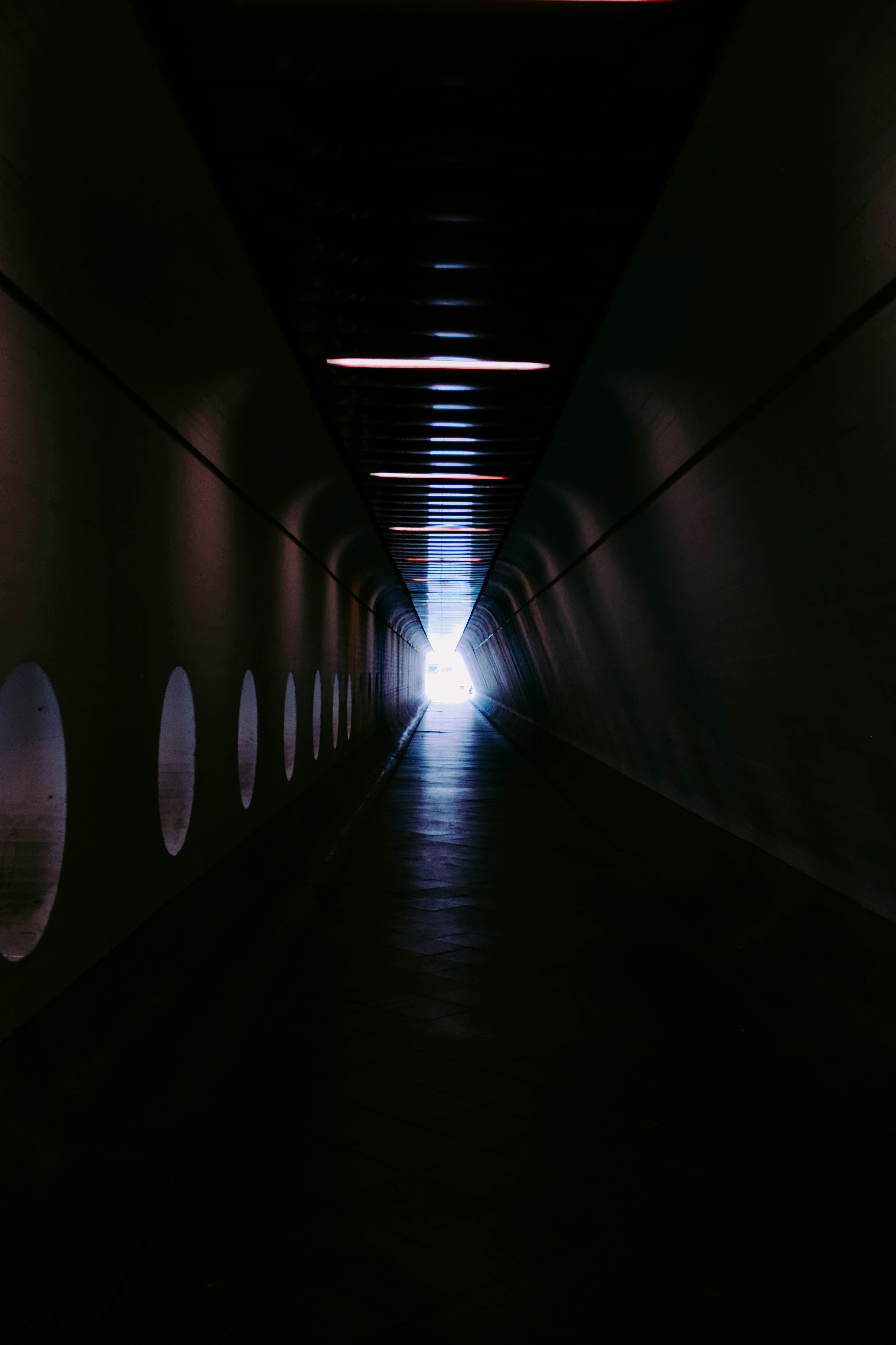 Photo by adrienolichon