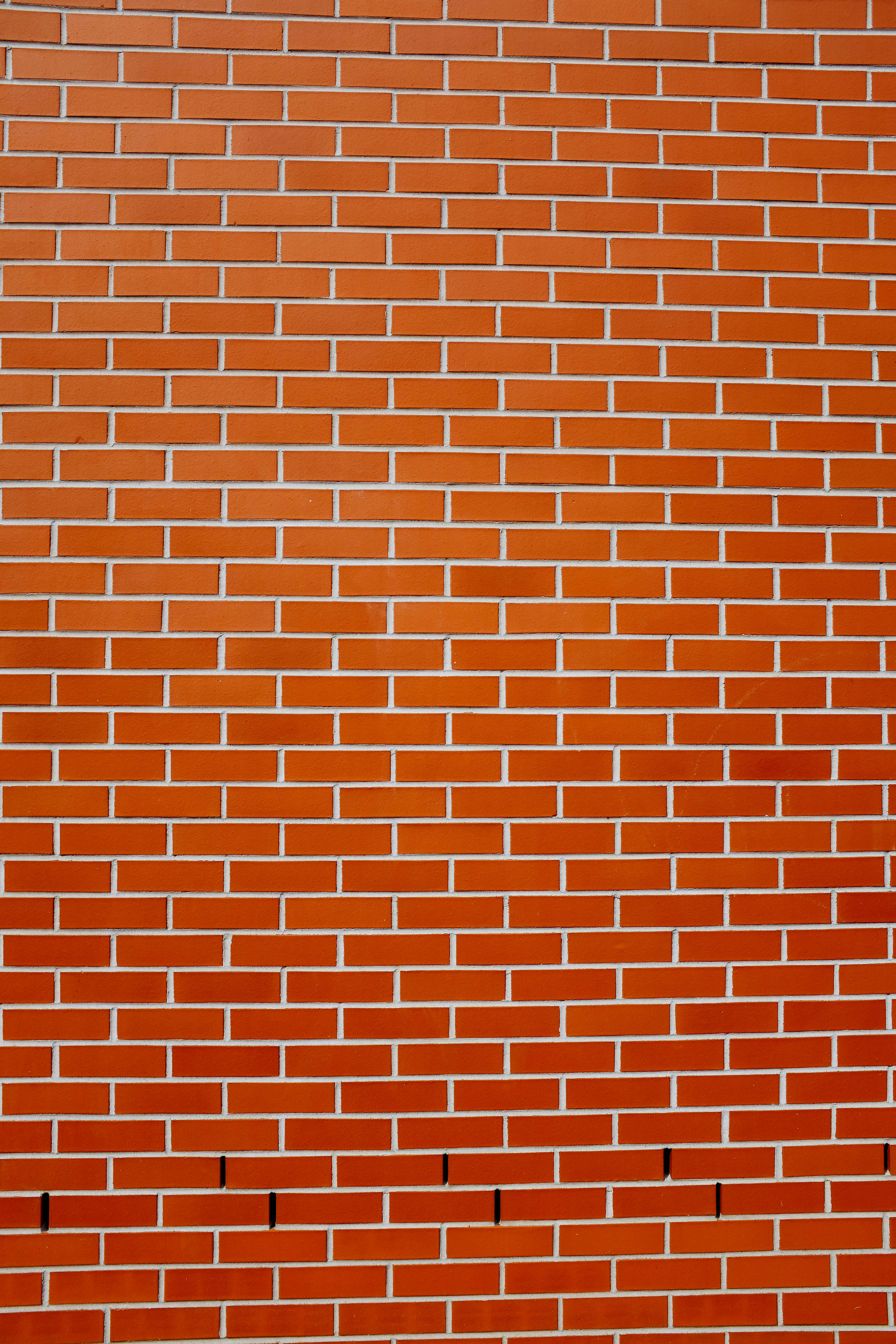 chalkboard wall chart