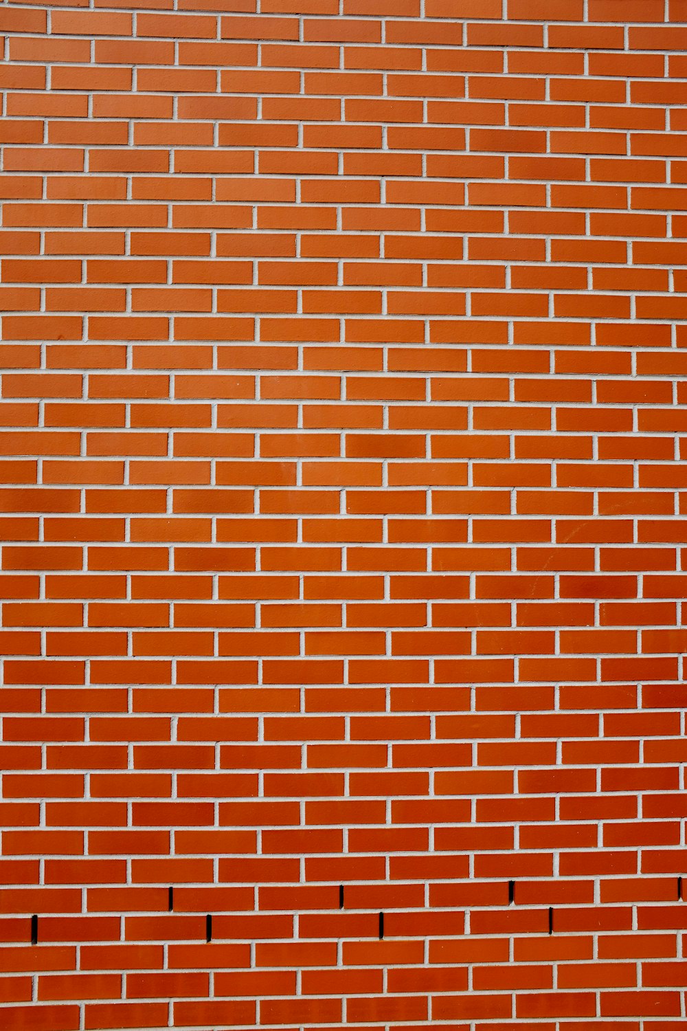 brick wall