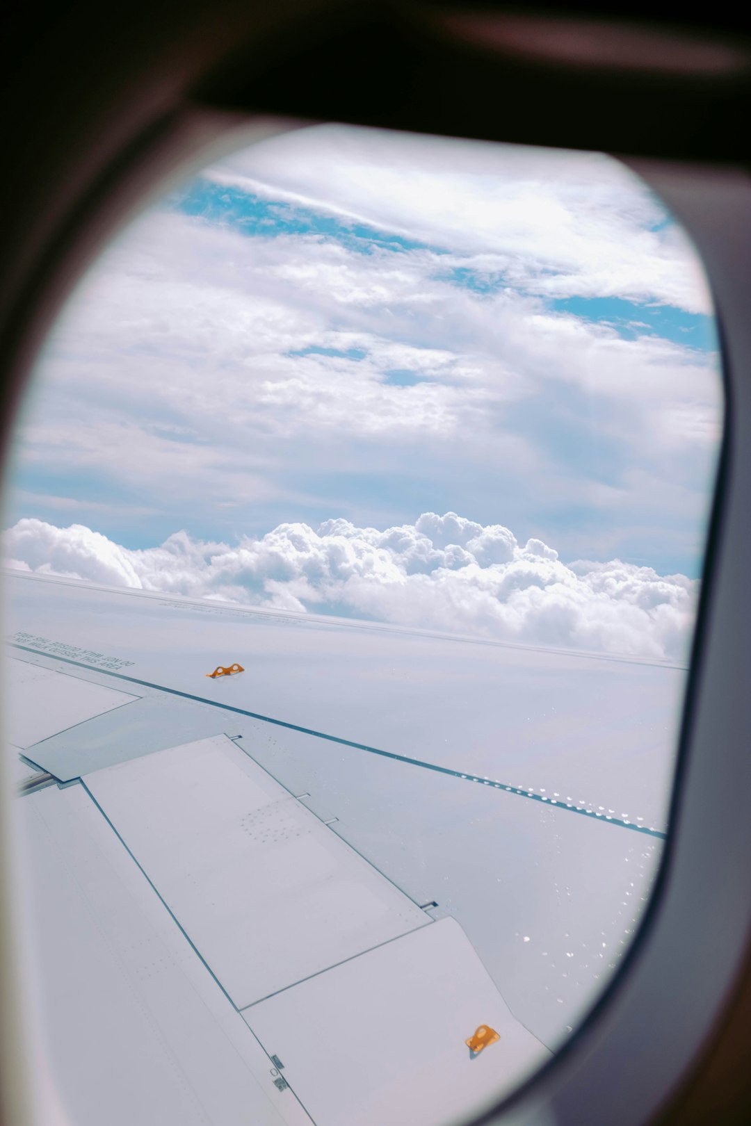 window plane