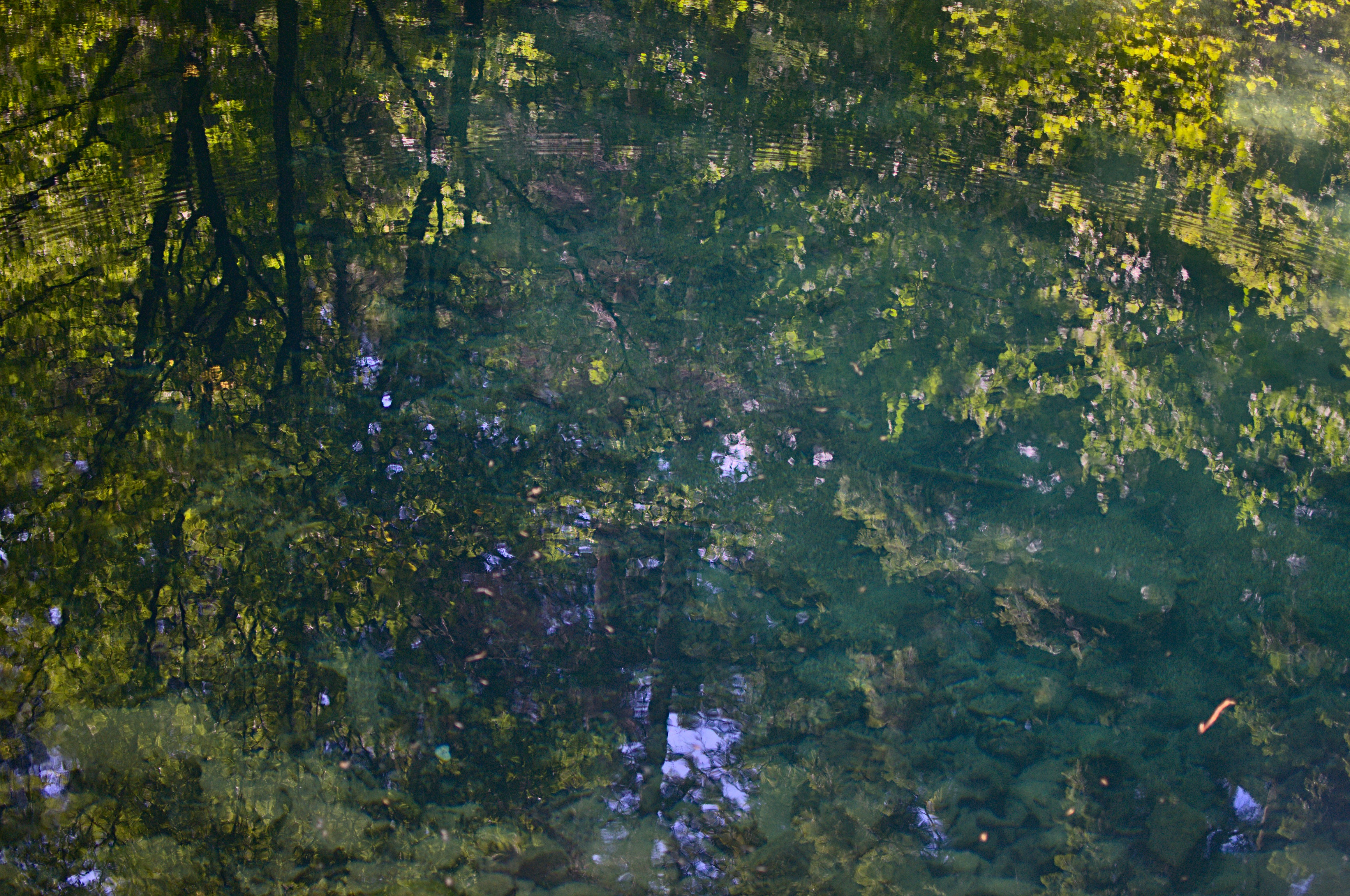 Photo by bogdanpetrea