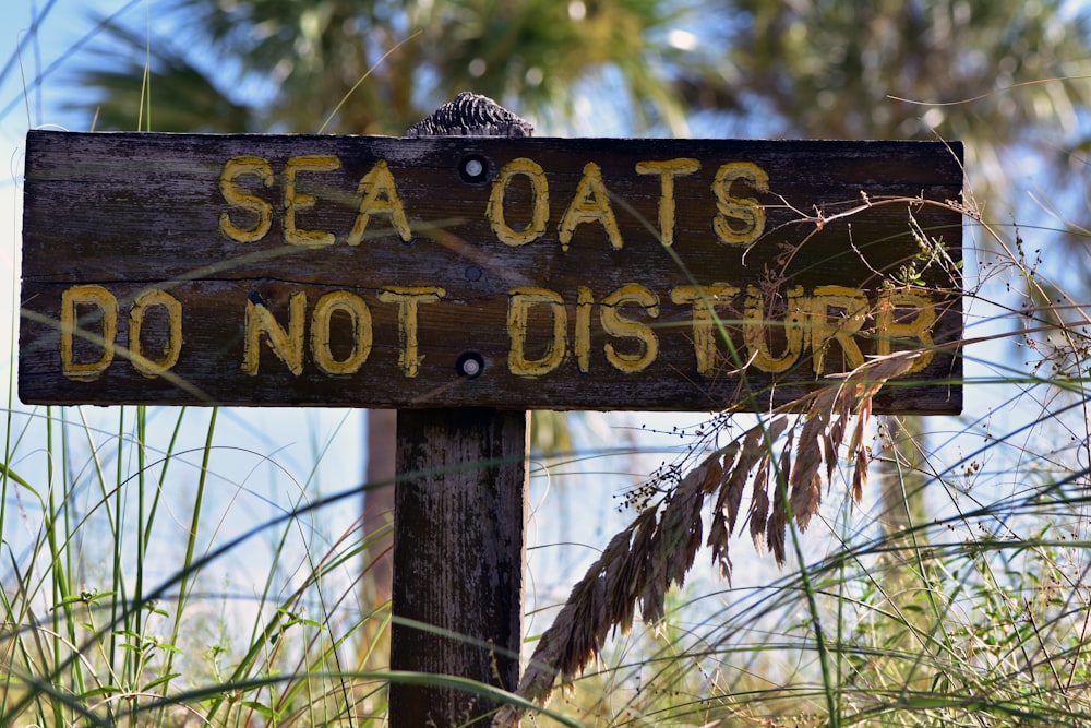 sea oats do not disturb signboard