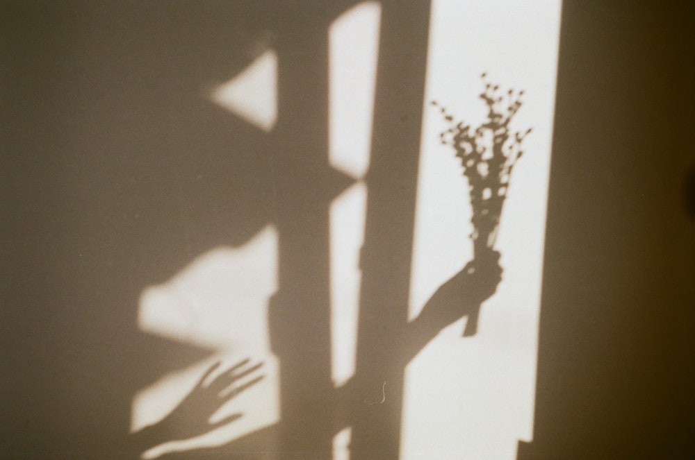 Schatten der Hand einer Person, die Blumen hält