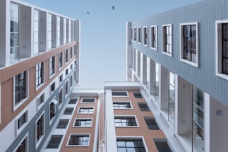 low angle photo of buildings