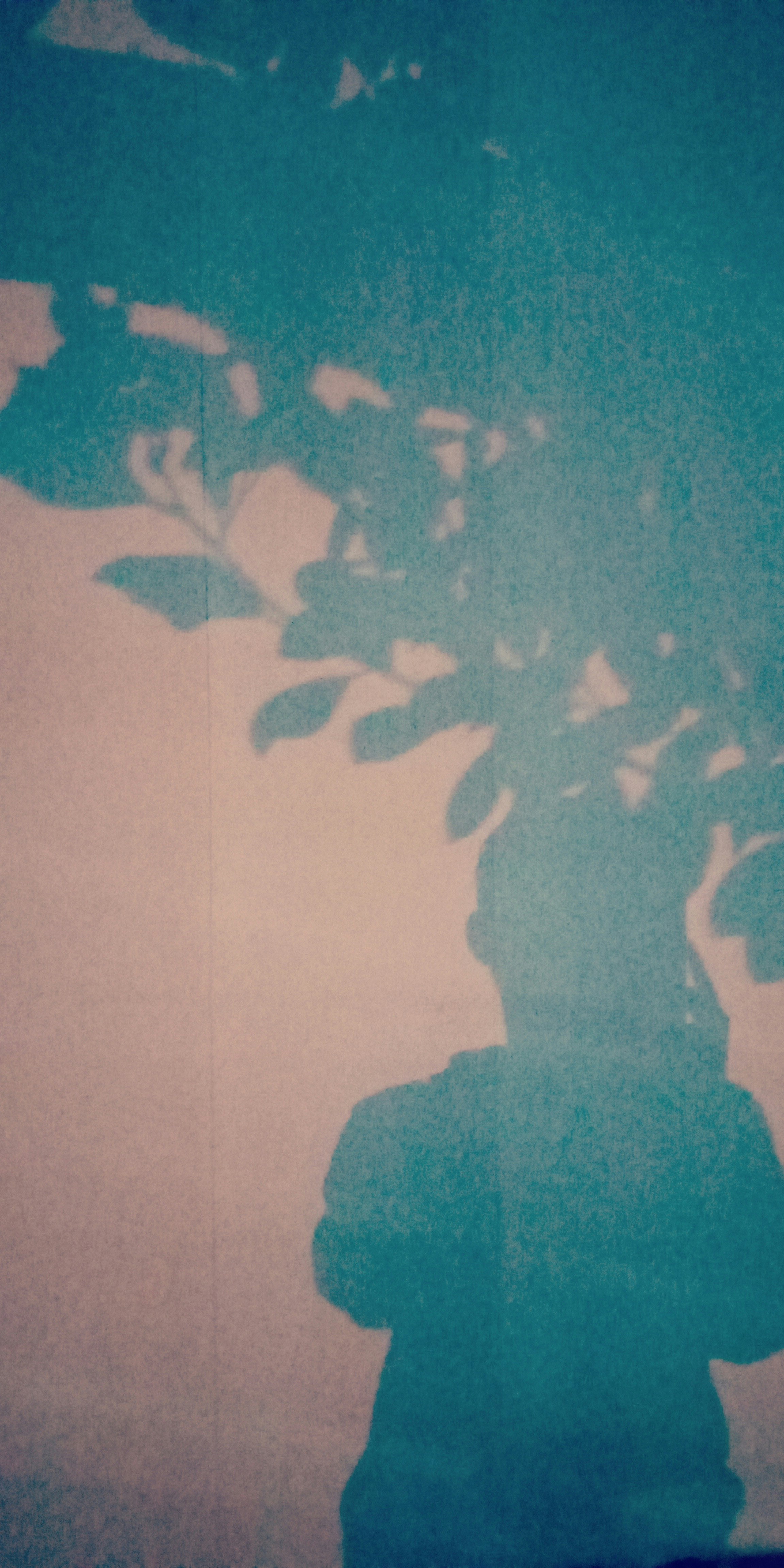 Photo by rudibrosidi