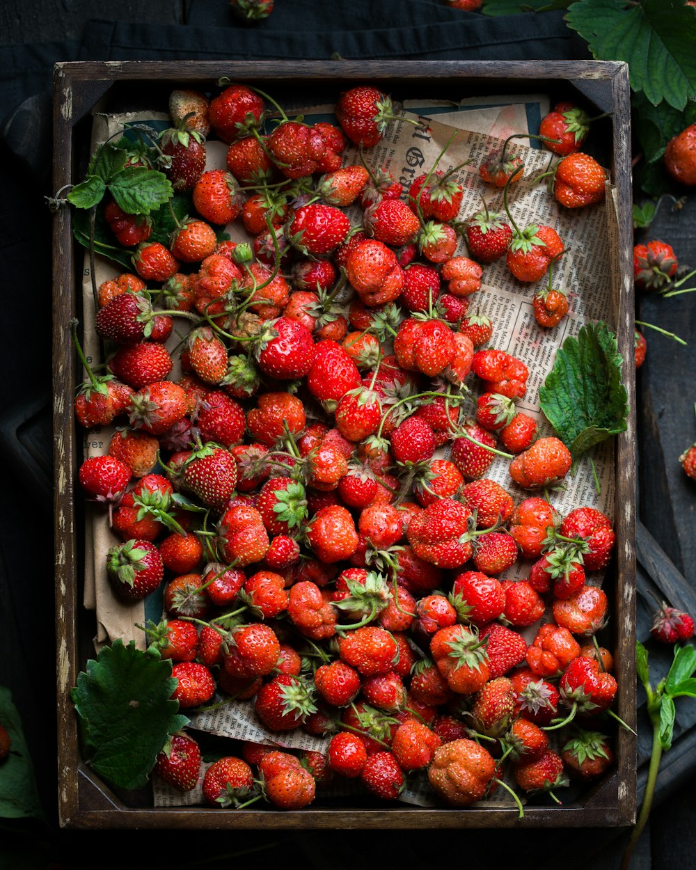 strawberry fruits