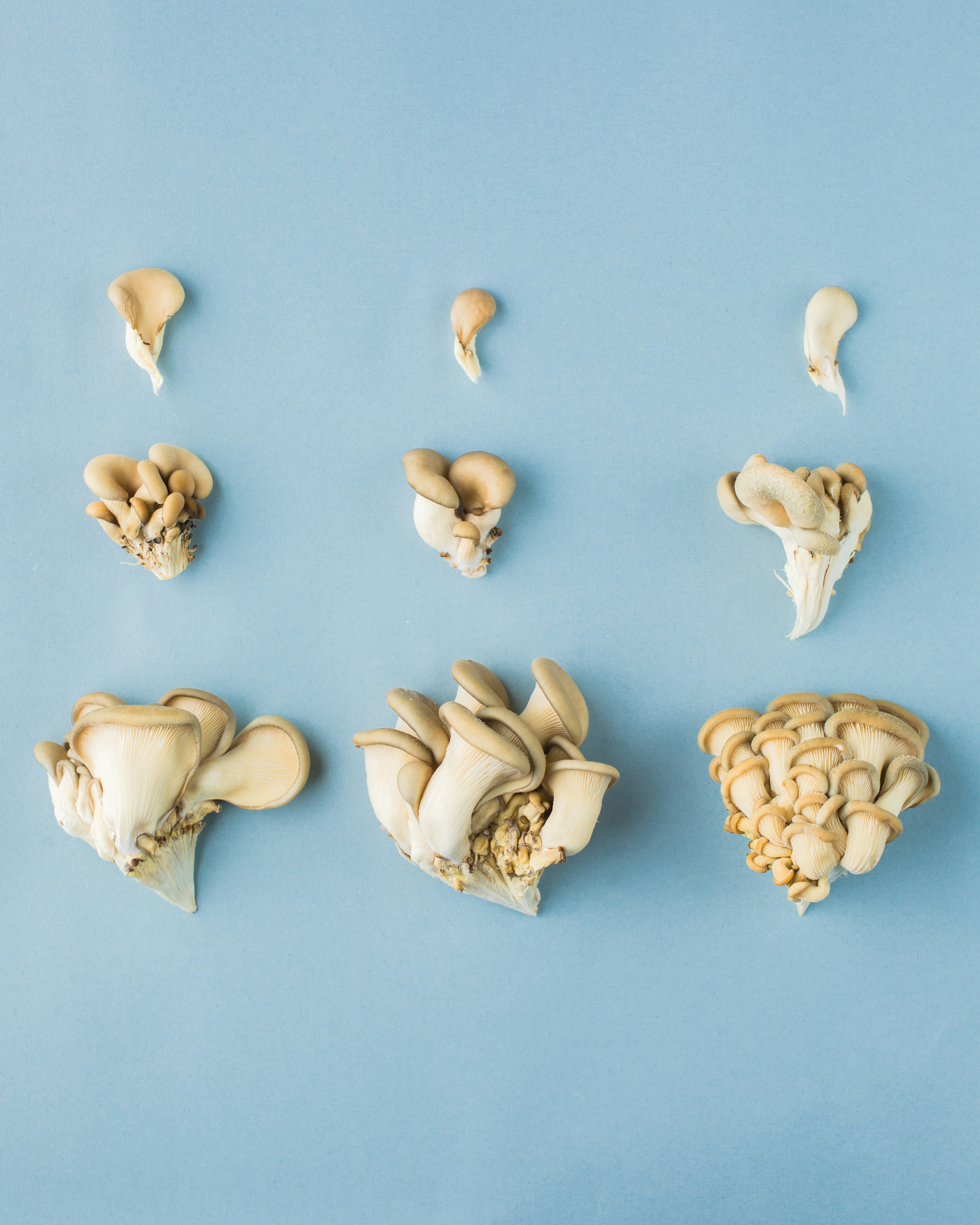 Photo by anna_tukhfatullina