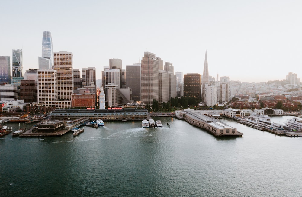 wide-angle photography of buildings during daytime