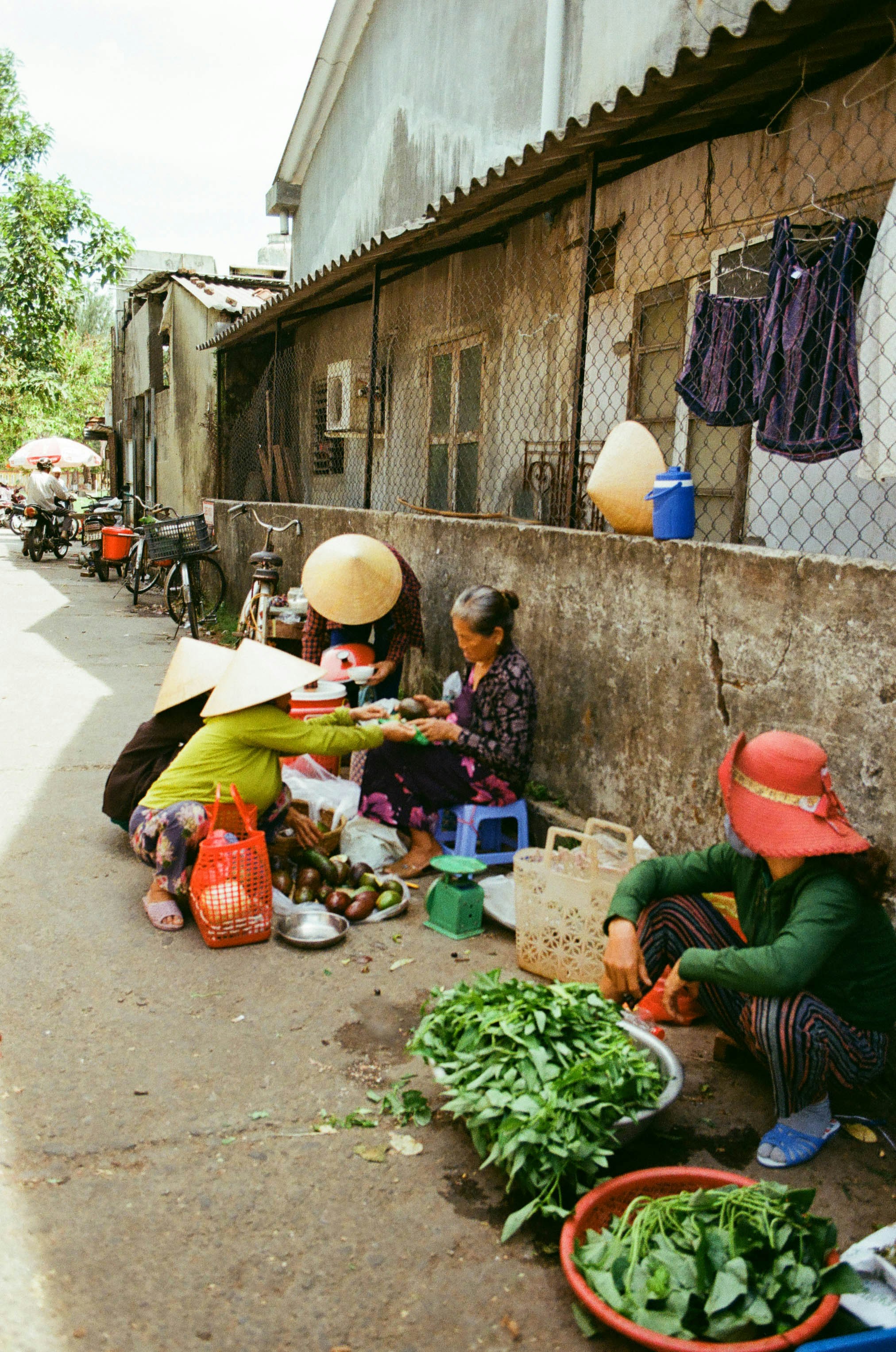 basket of vegetables