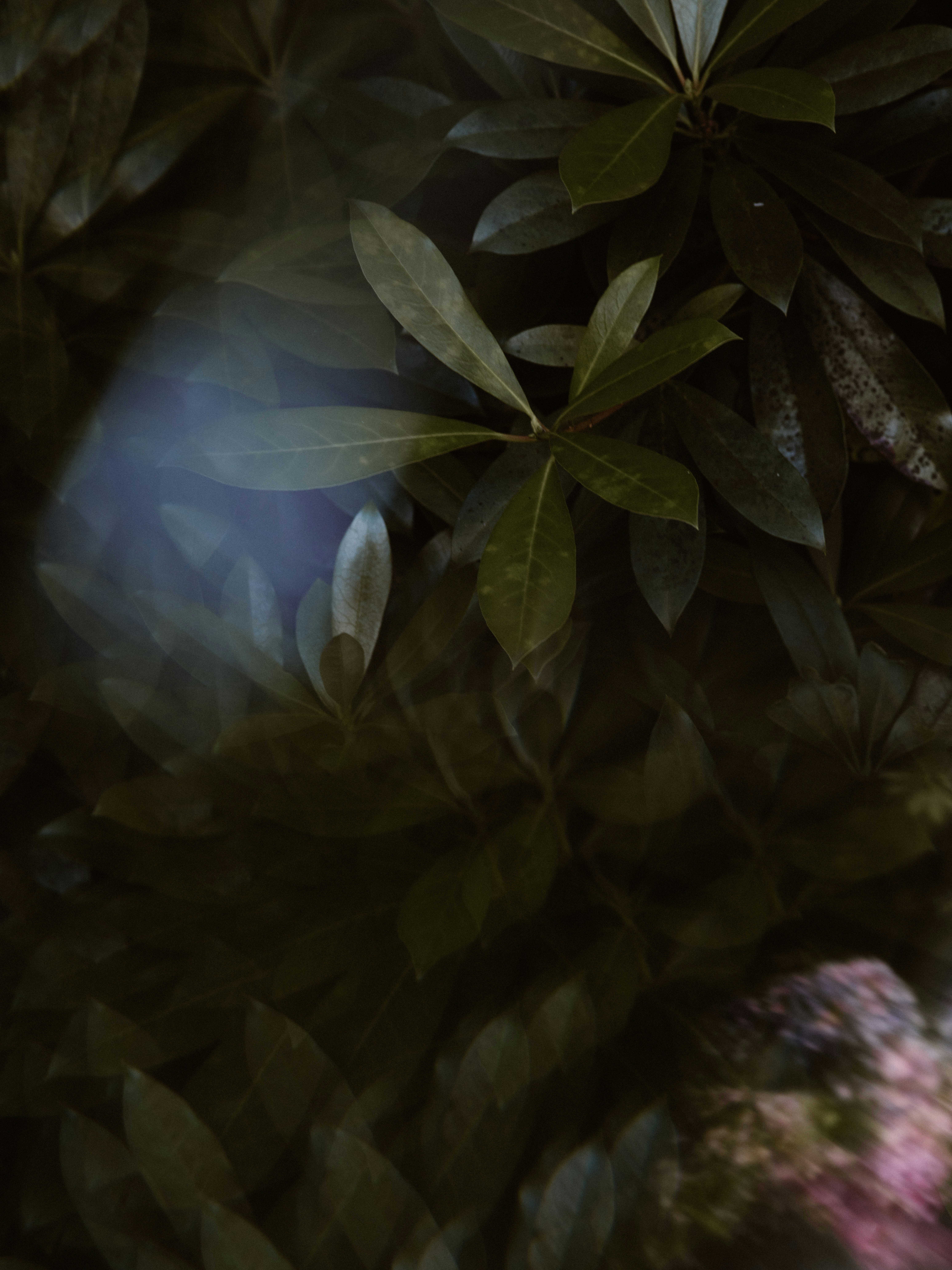 Photo by anniespratt