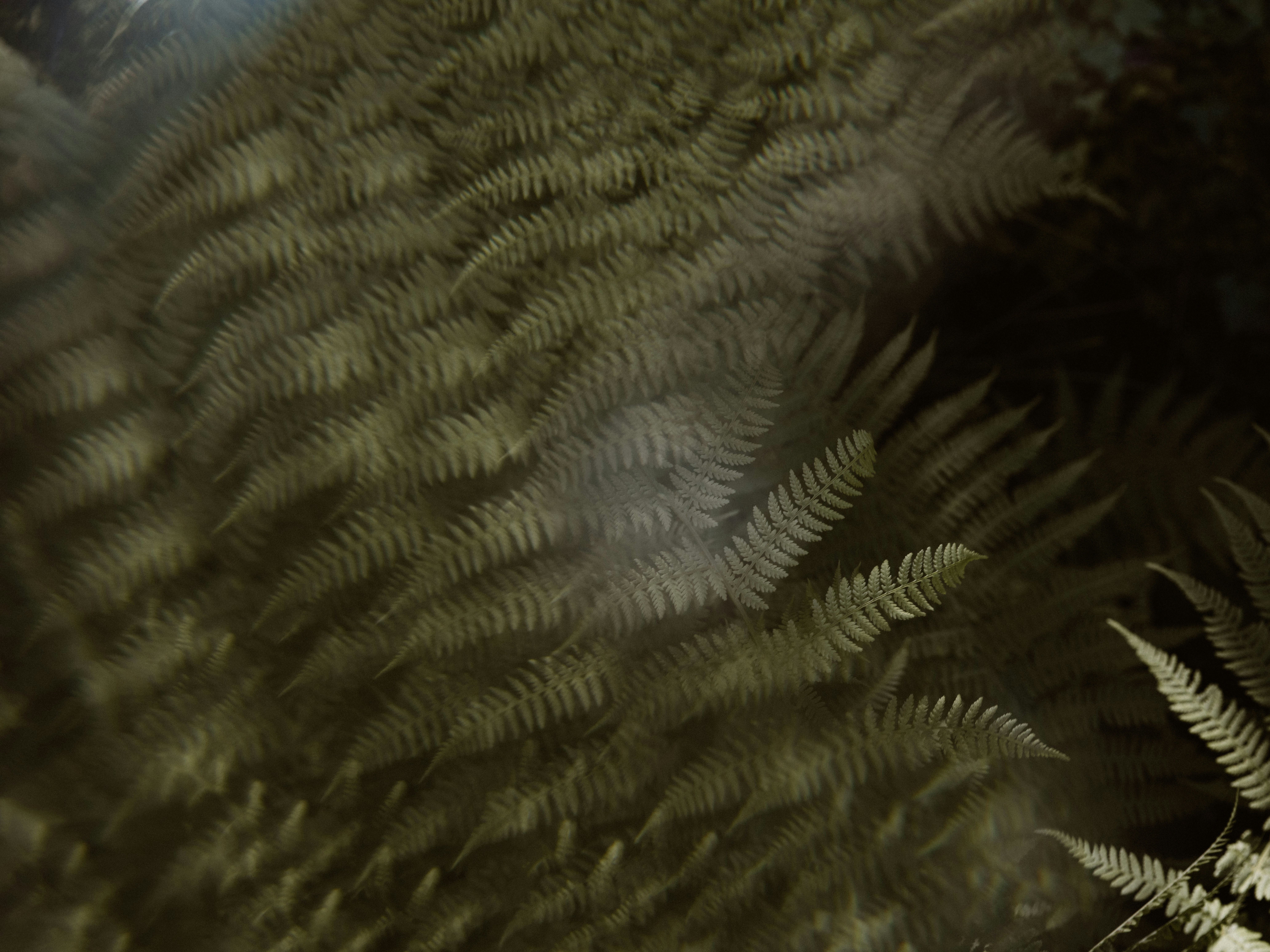 Photo by anniespratt