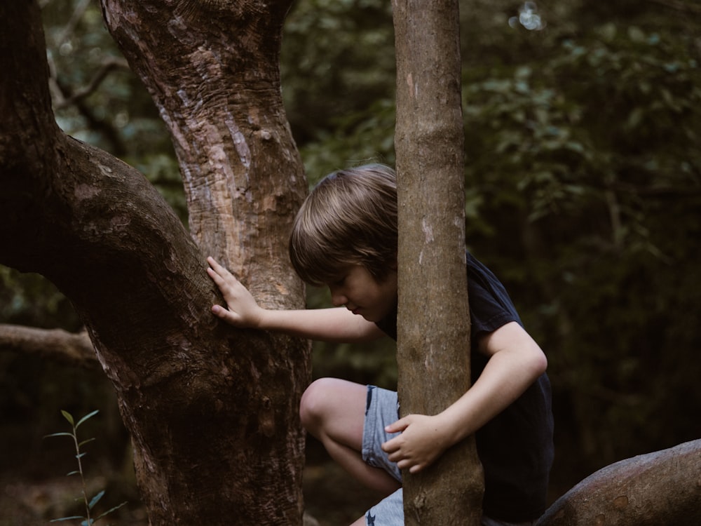 boy sitting on tree