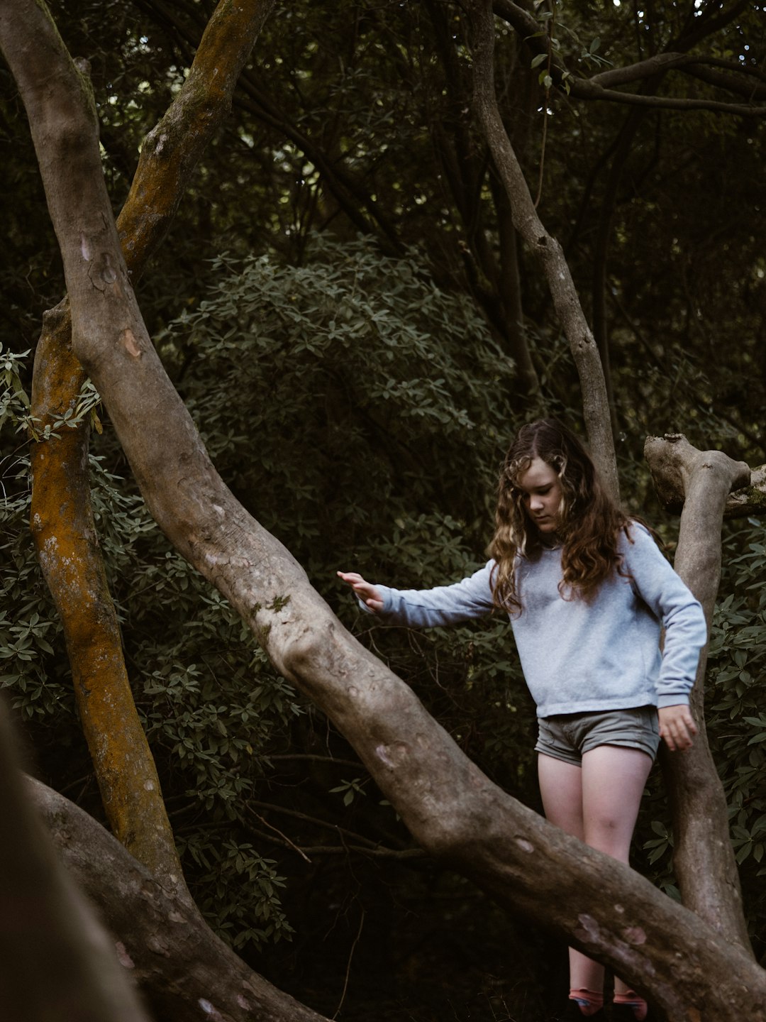 woman walking on tree branch