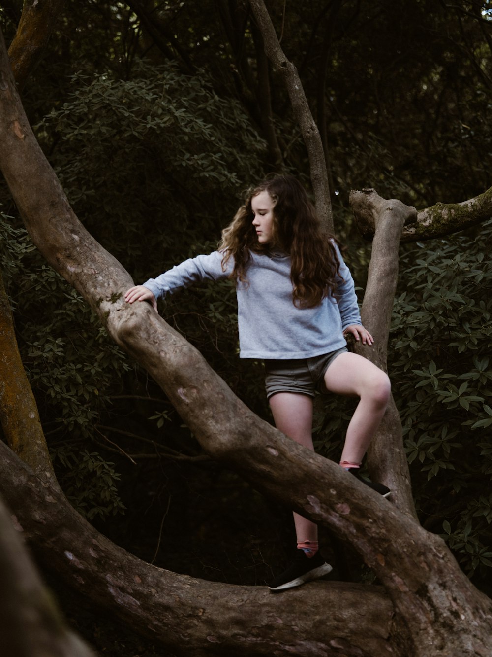 girl standing on tree