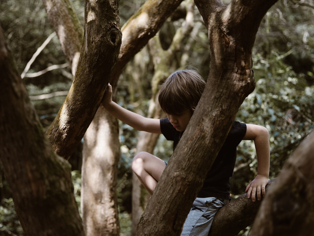 boy on top of tree branch