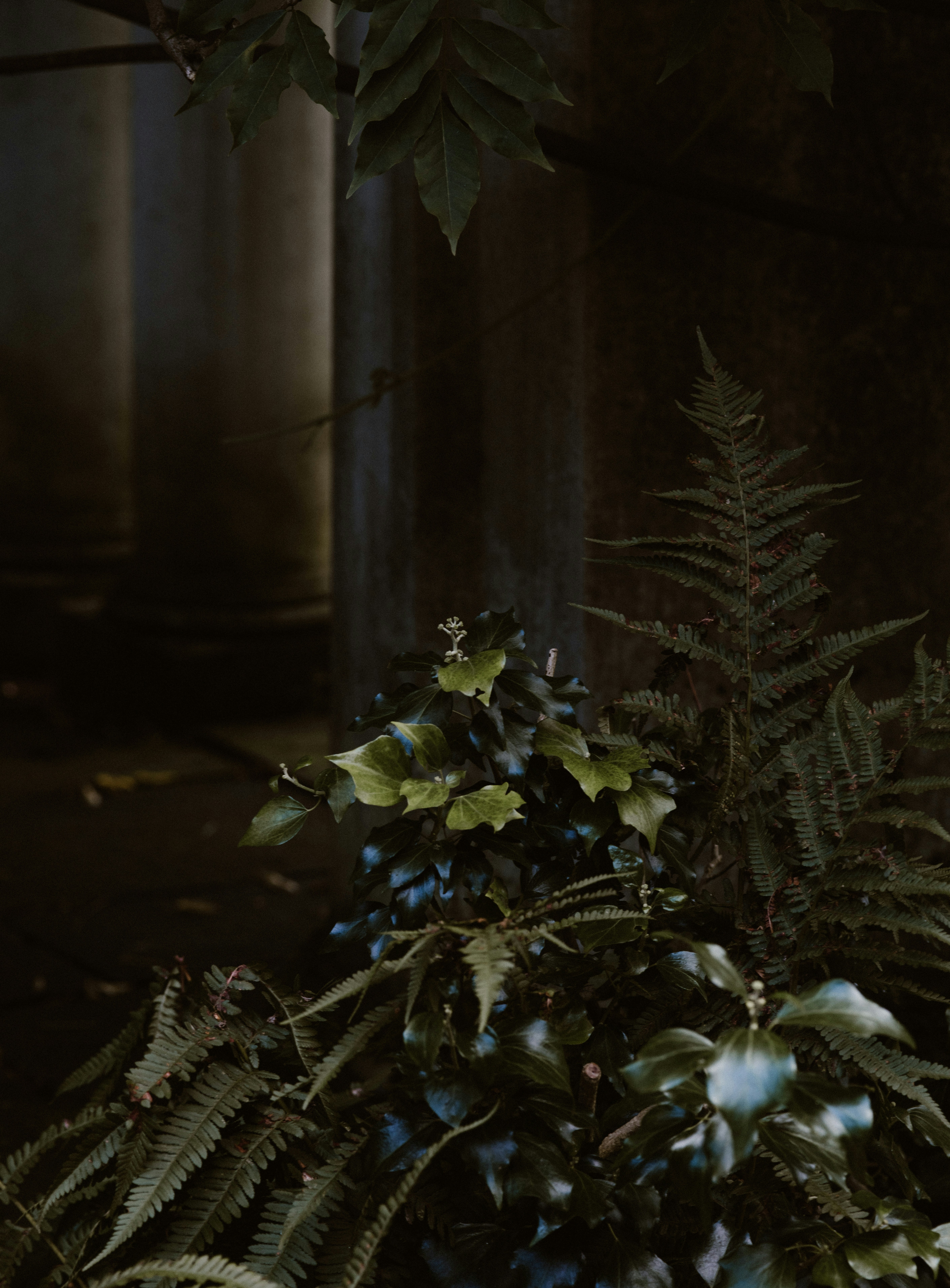 Photo by anniespratt