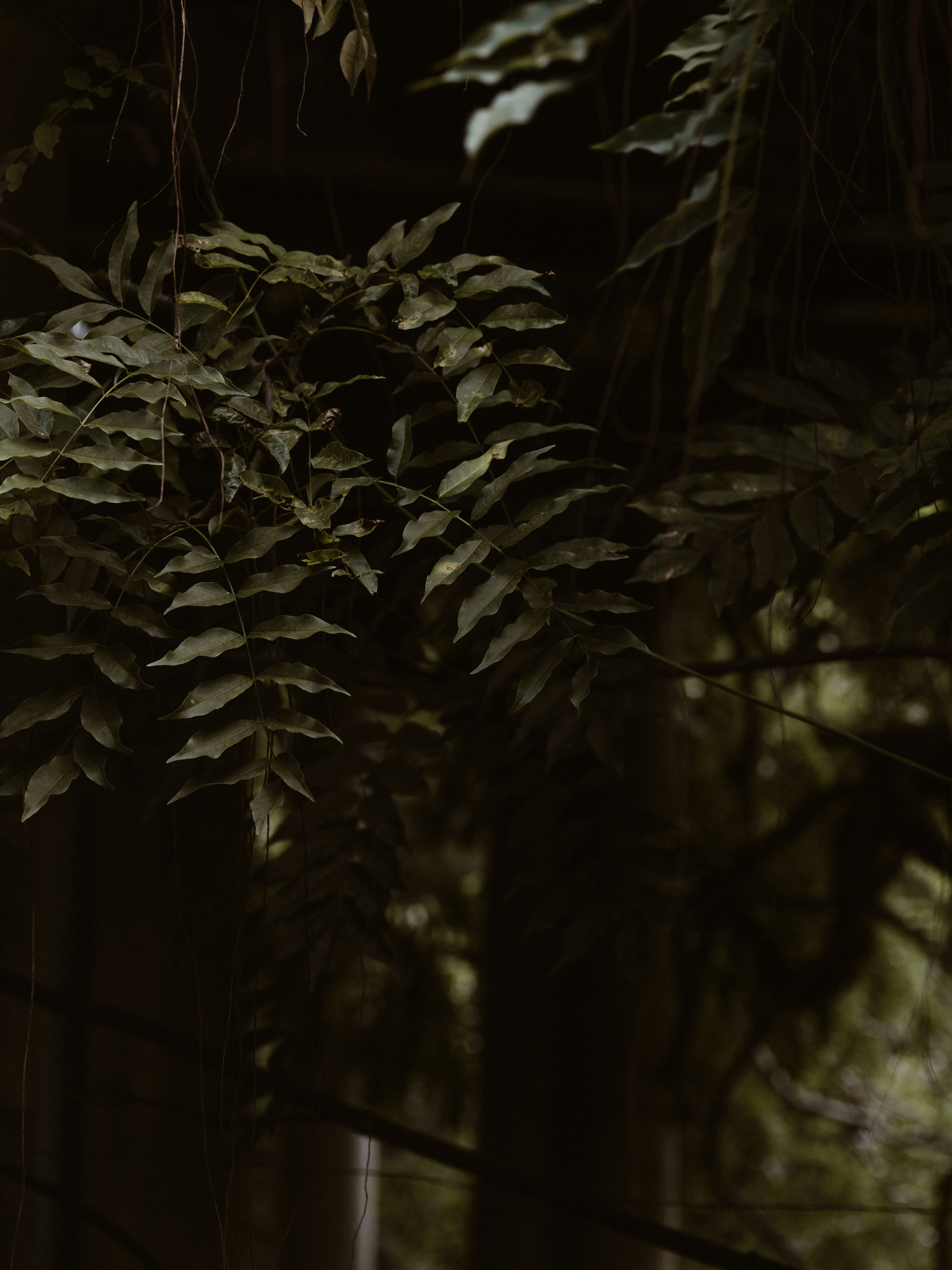 Photo by anniespratt