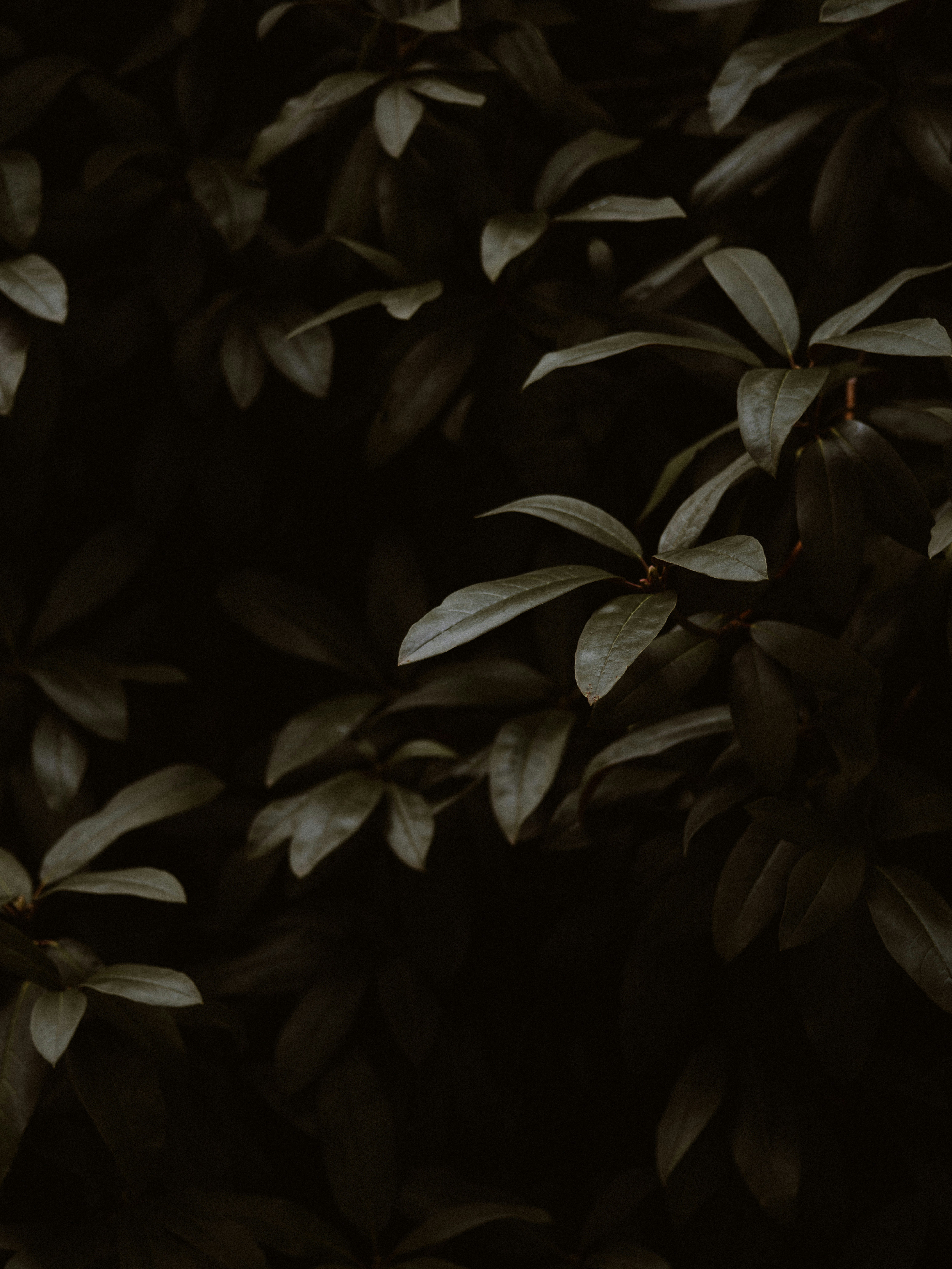 Photo by anniespratt