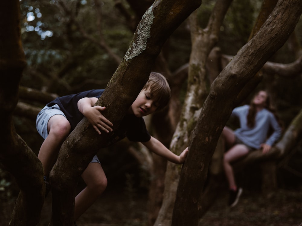 boy climbing up on tree