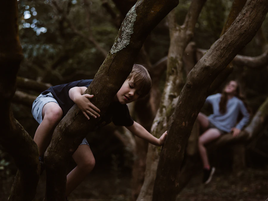 A boy climbing high into a tree
