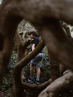 boy standing on tree branch