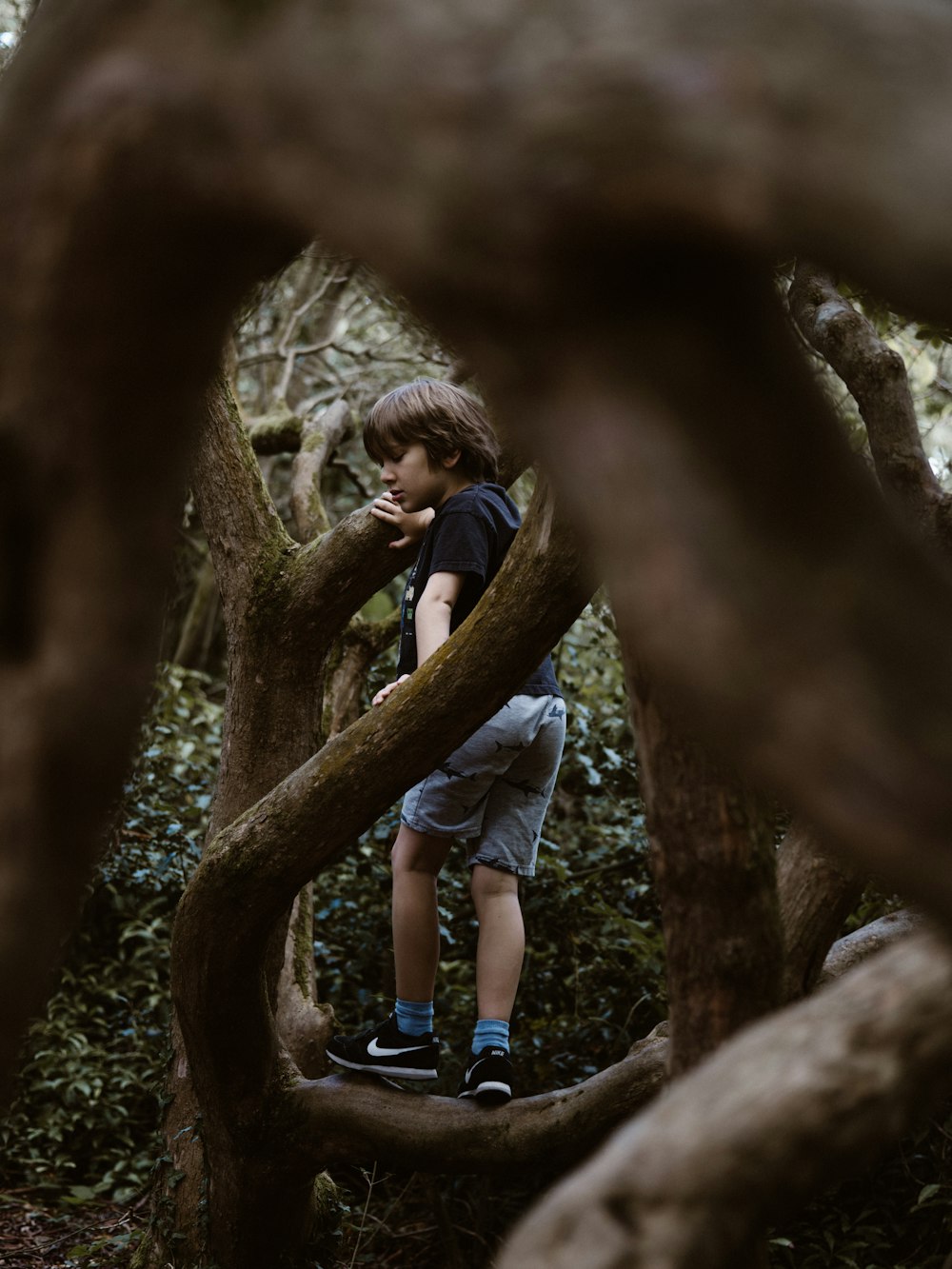 garçon debout sur une branche d’arbre