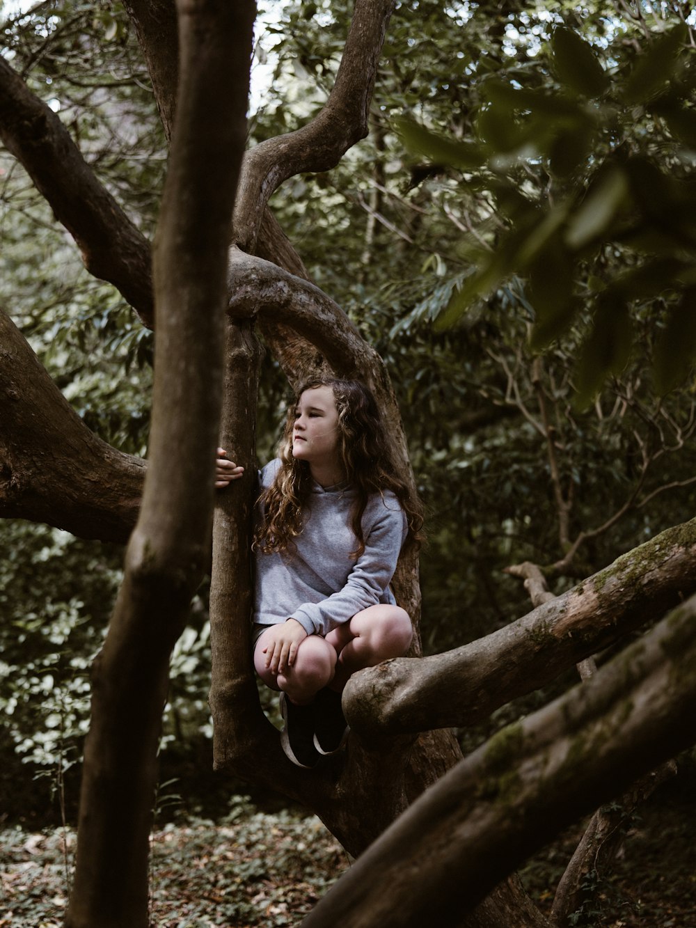 girl sitting on tree branch