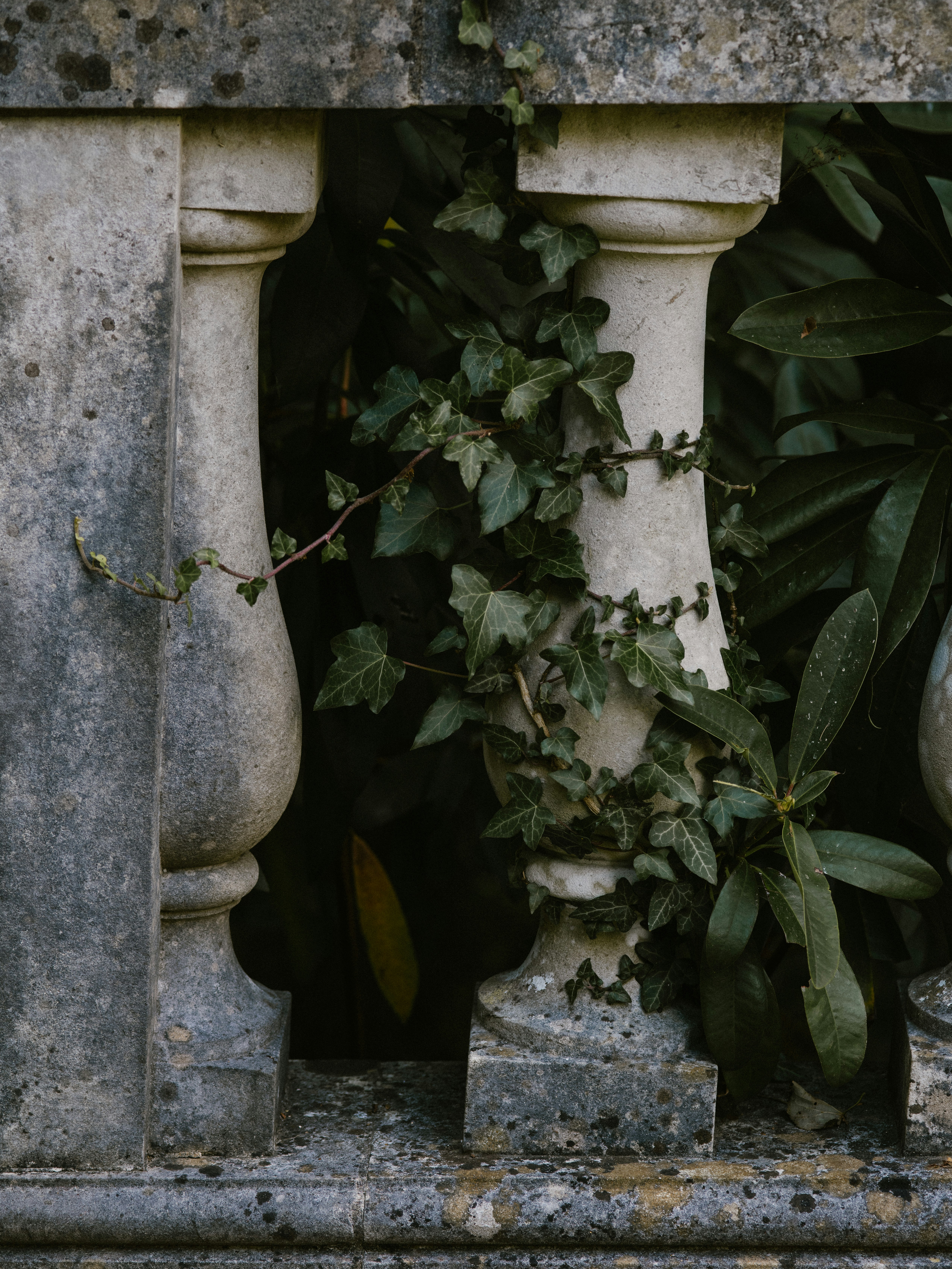 Photo by anniespratt