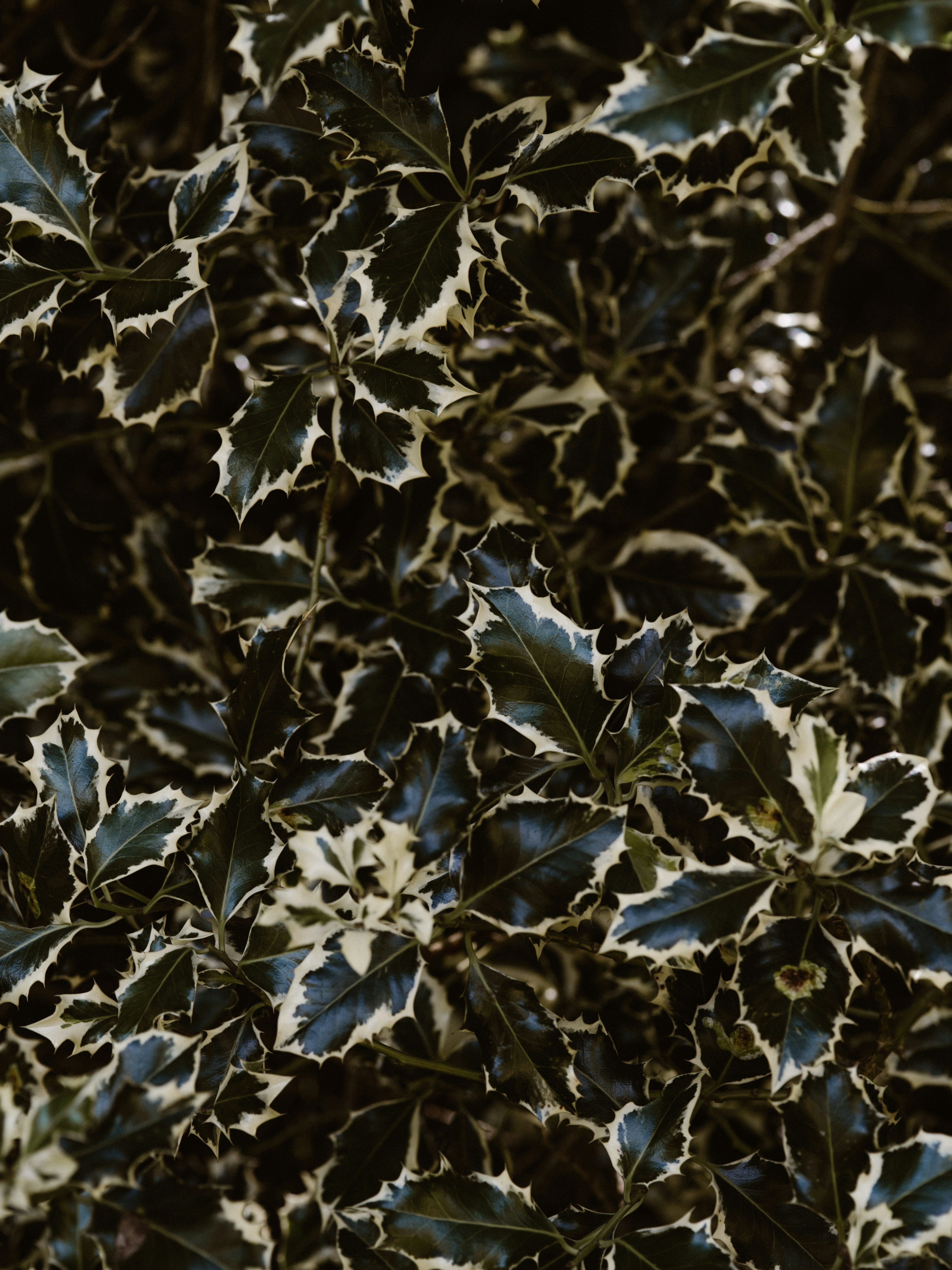 Photo by anniespratt