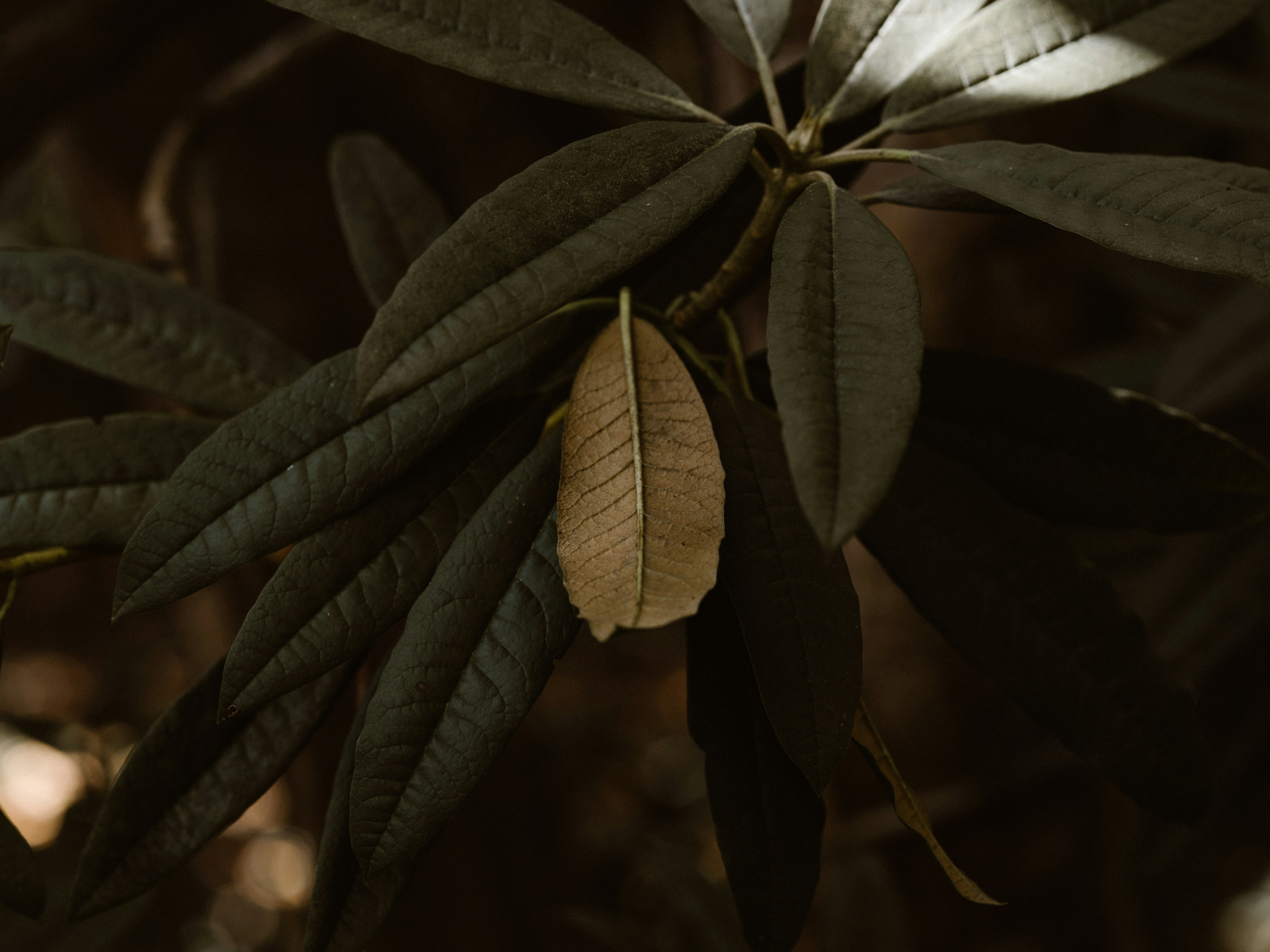 Photo by anniespratt