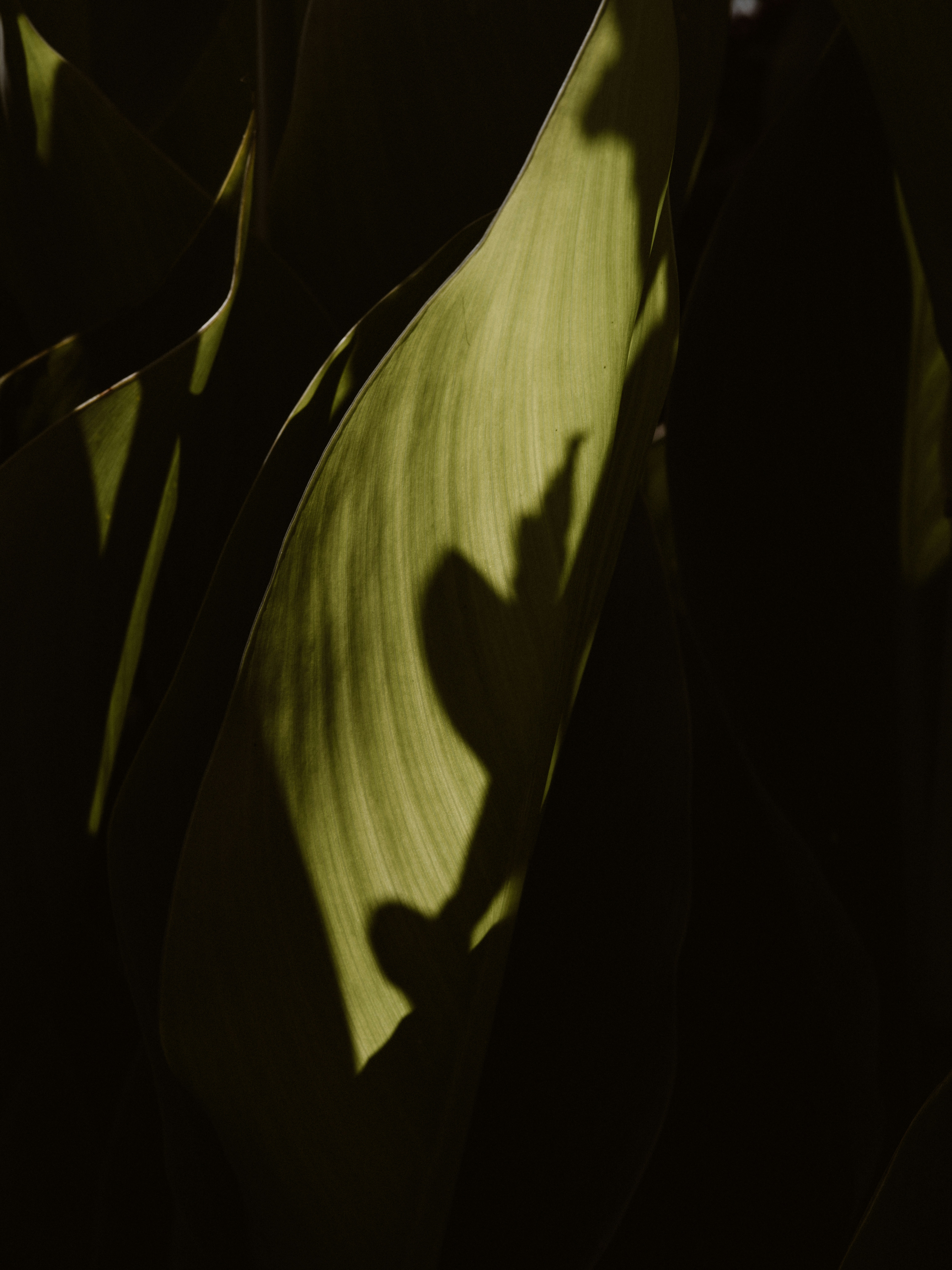 Photo by anniespratt