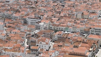 An aerial view of colorful rooftops and narrow streets in a historic international city, hinting at a month-long global exploration.