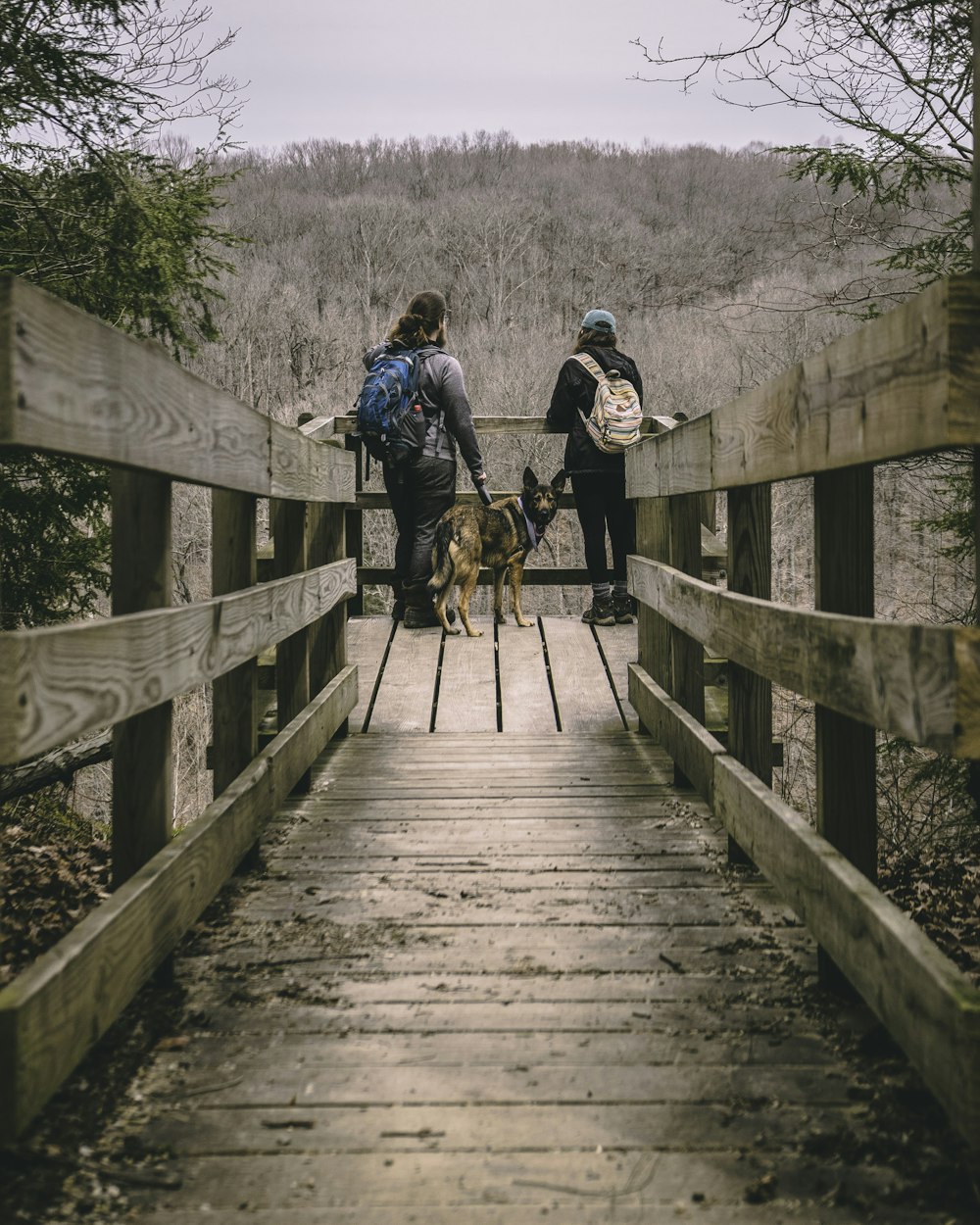 two person and 1 dog on wooden bridge