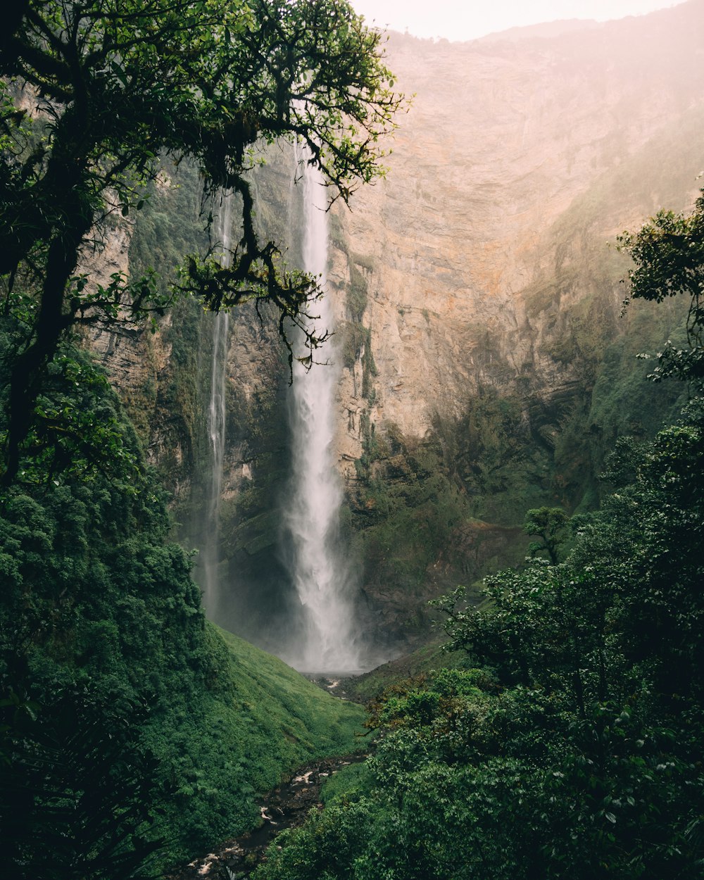 clear waterfalls surrounded by trees during daytime