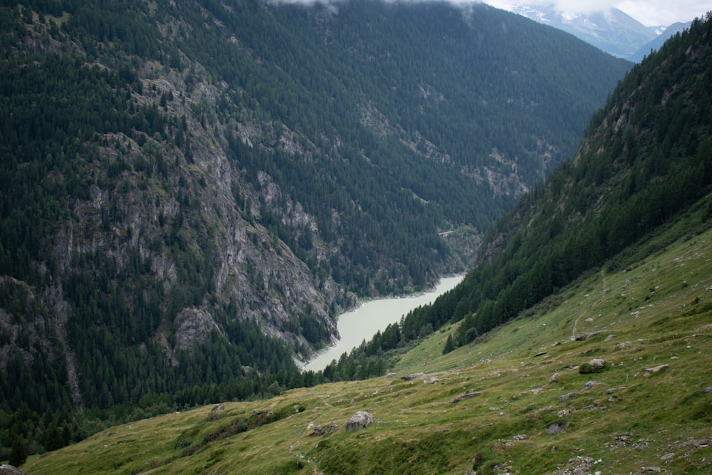 Montagnes verdoyantes pendant la journée