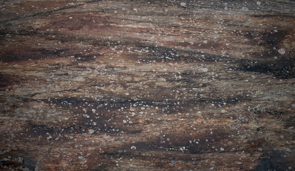 a close up of a marble surface with white speckles