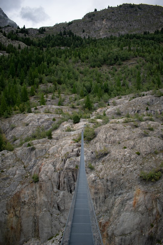 gray metal birdge at daytime in Aletsch Glacier Switzerland